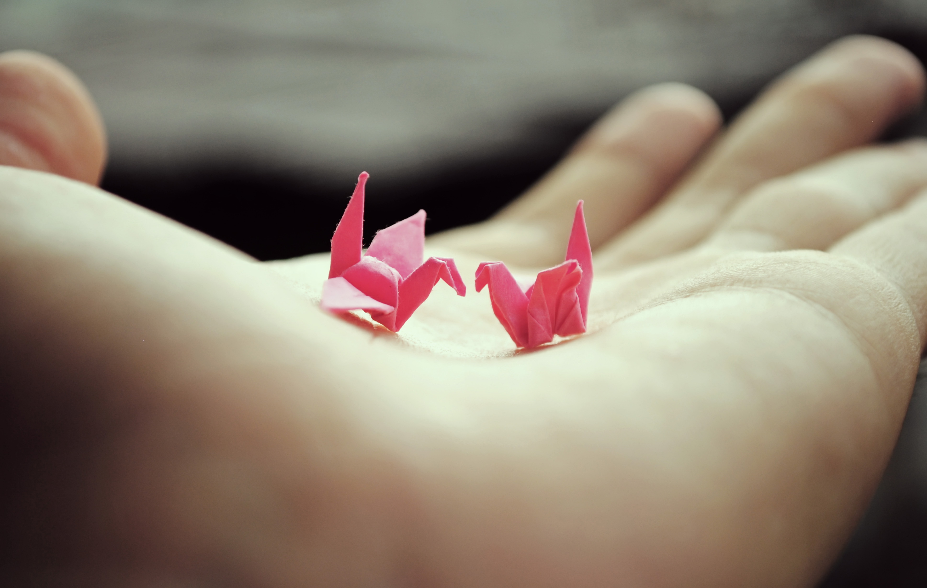 Download mobile wallpaper Hand, Origami, Man Made for free.