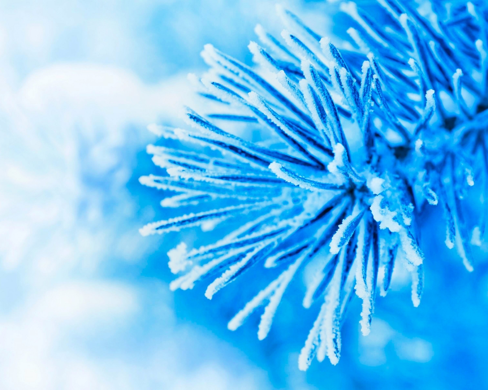 Free download wallpaper Winter, Snow, Bokeh, Photography on your PC desktop