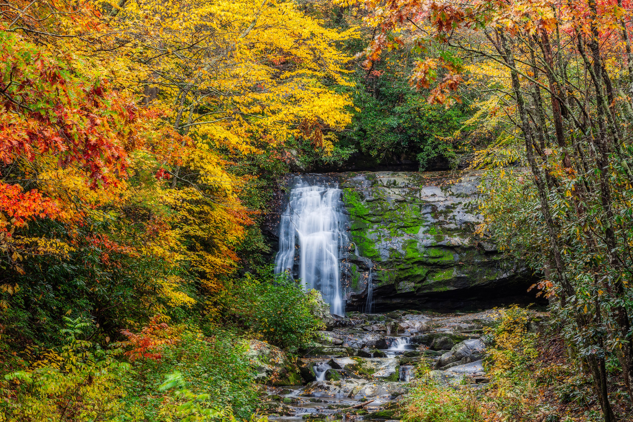 Handy-Wallpaper Herbst, Wasserfälle, Wasserfall, Wald, Baum, Protokoll, Erde/natur kostenlos herunterladen.