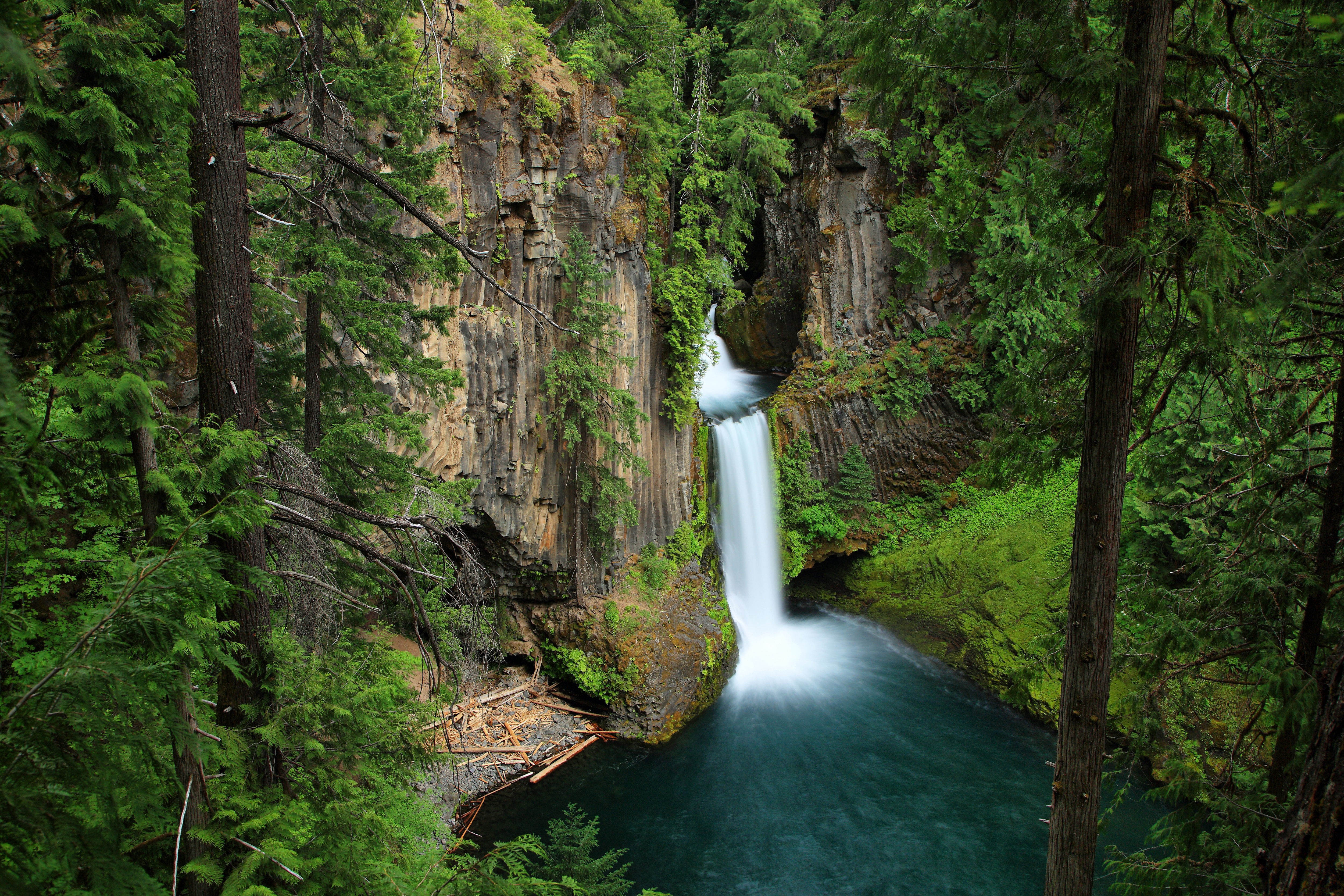 Скачать картинку Водопады, Водопад, Лес, Дерево, Земля/природа в телефон бесплатно.