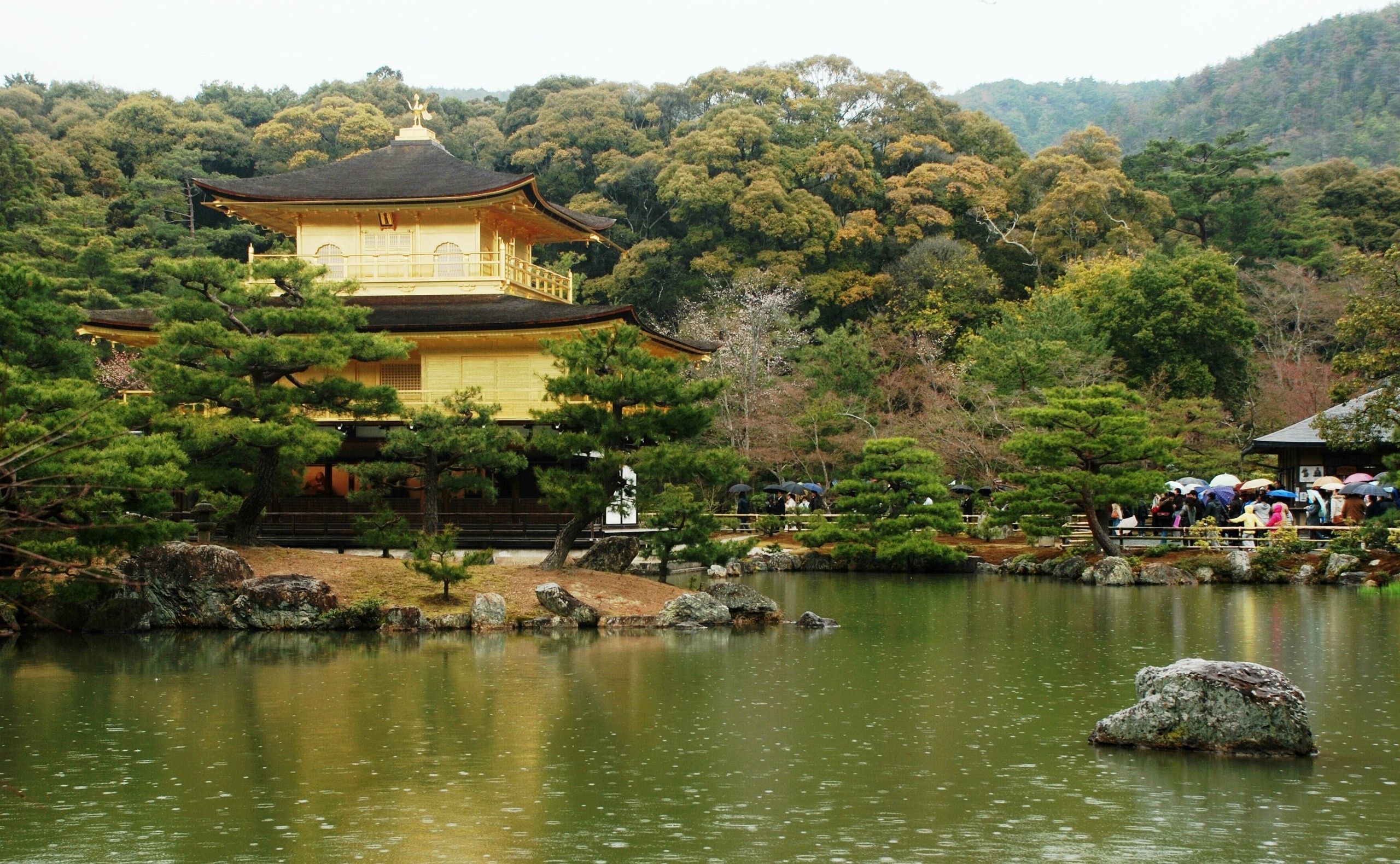 religious, kinkaku ji, japan, kyoto, the temple of the golden pavilion, temples