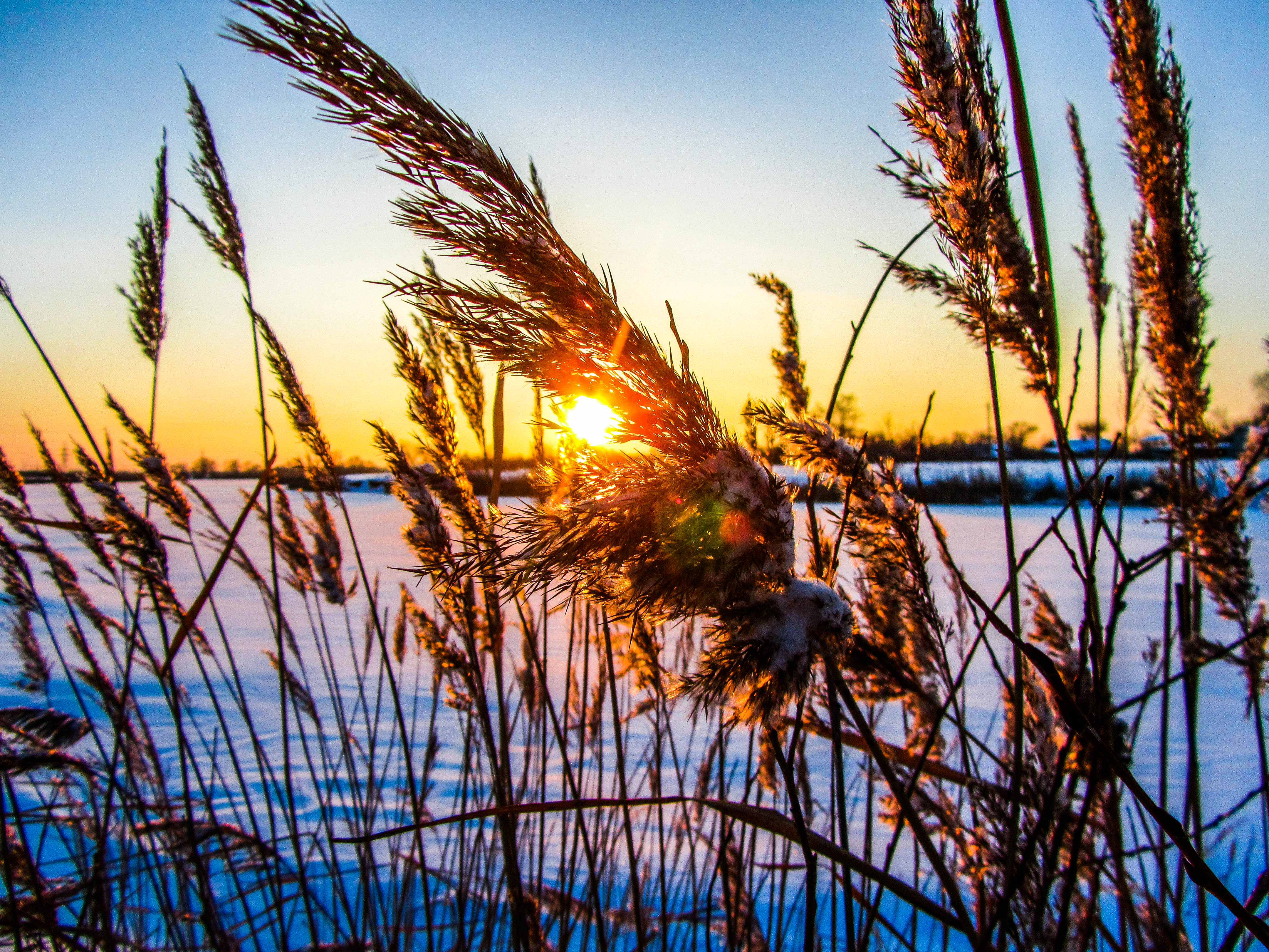 Descarga gratis la imagen Amanecer, Tierra/naturaleza en el escritorio de tu PC