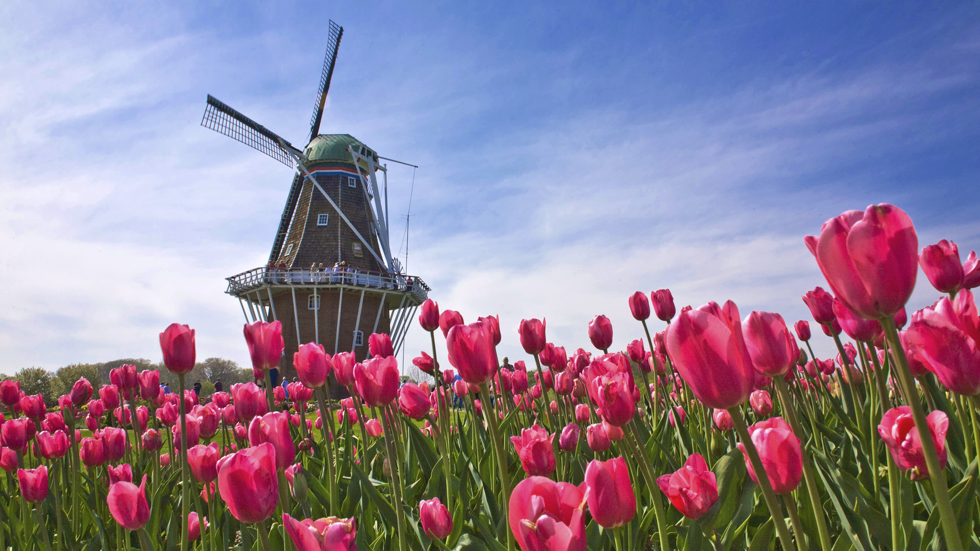 Free download wallpaper Nature, Architecture, Building, Flower, Windmill, Man Made on your PC desktop