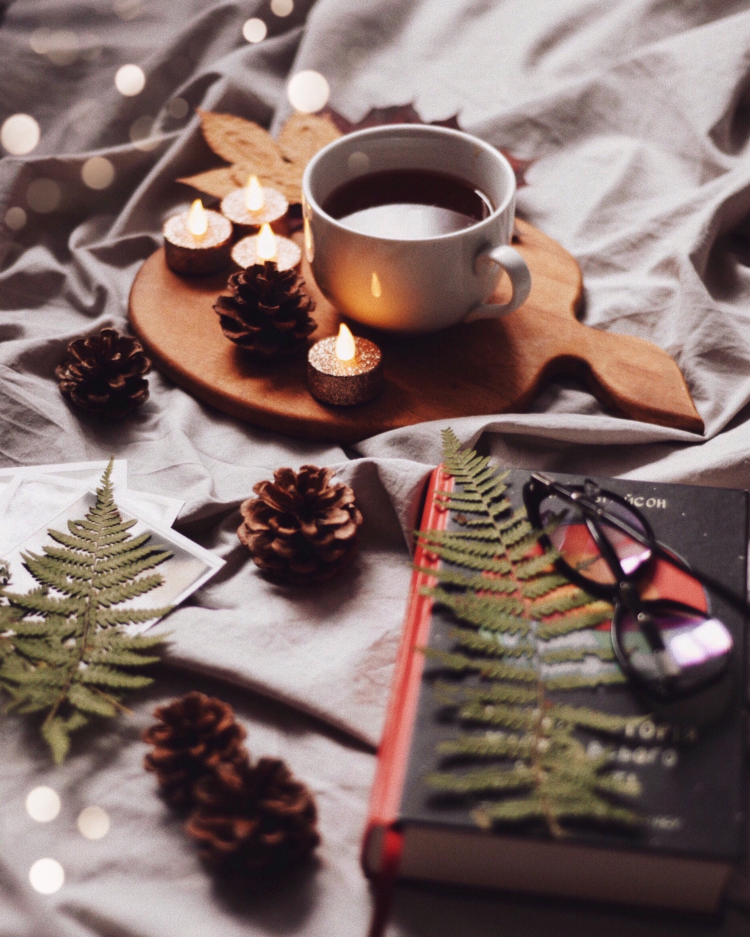 cones, candles, coffee, miscellanea, miscellaneous, cup, book, drink, beverage, coziness, comfort