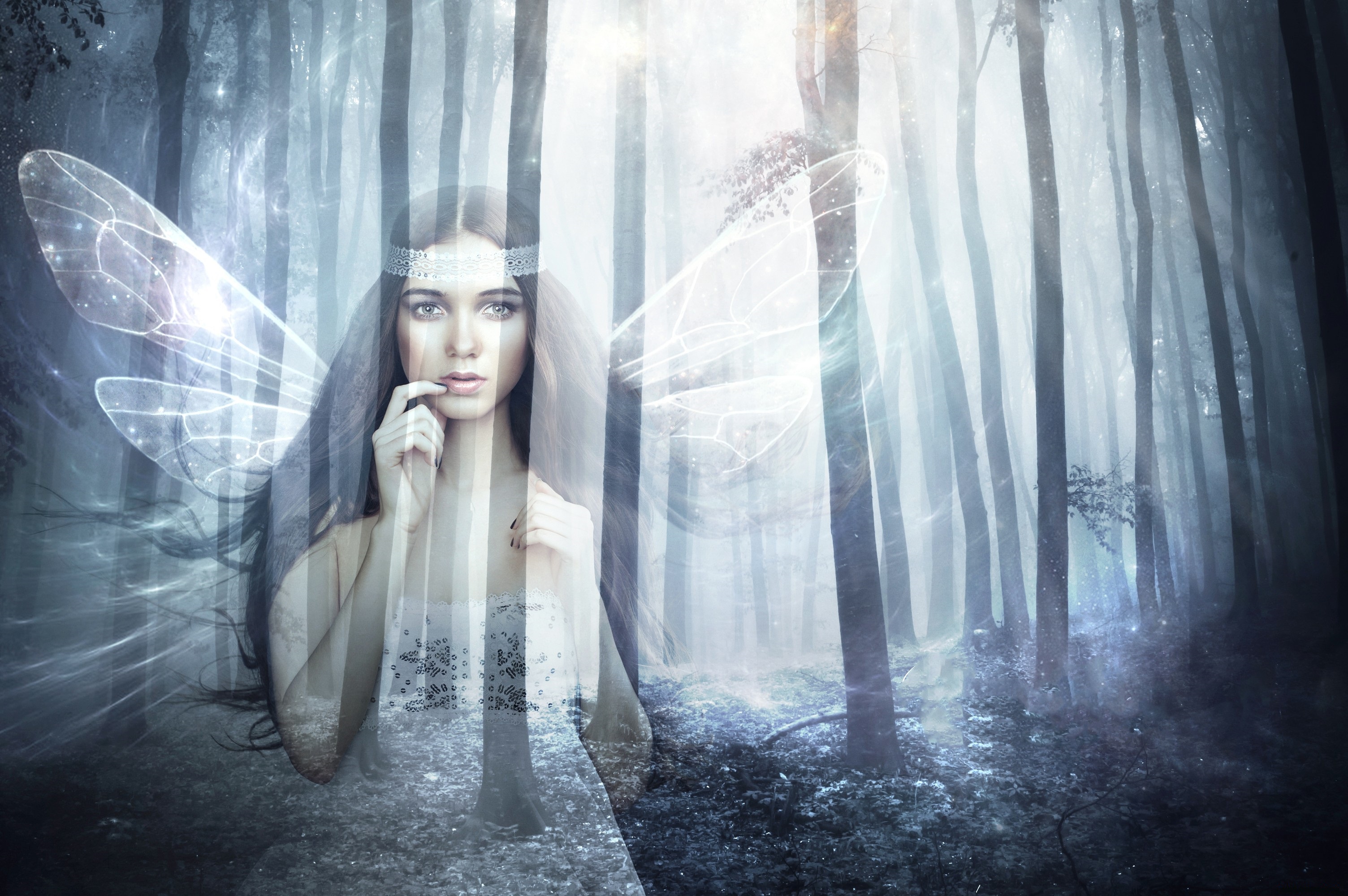 Free download wallpaper Fantasy, Forest, Wings, Fairy on your PC desktop