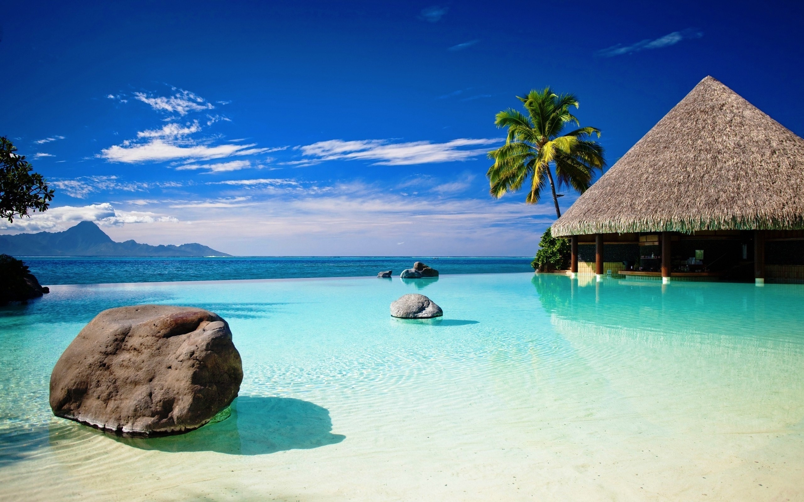 Free download wallpaper Tropical, Photography on your PC desktop