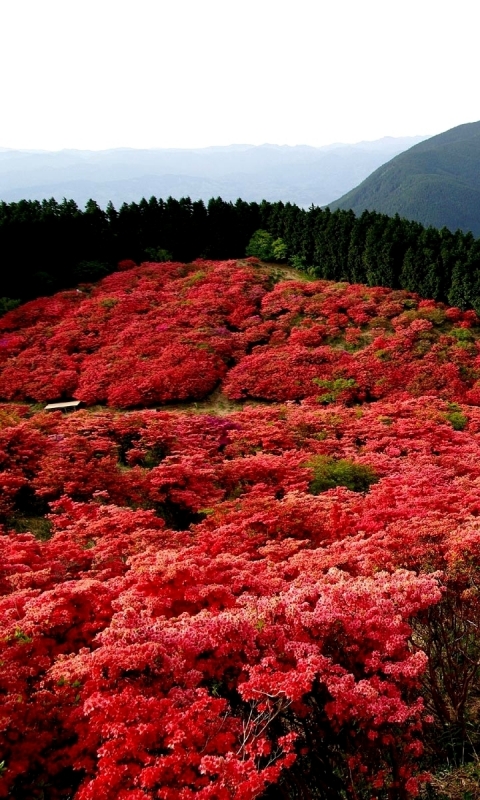 Descarga gratuita de fondo de pantalla para móvil de Montañas, Montaña, Tierra/naturaleza.