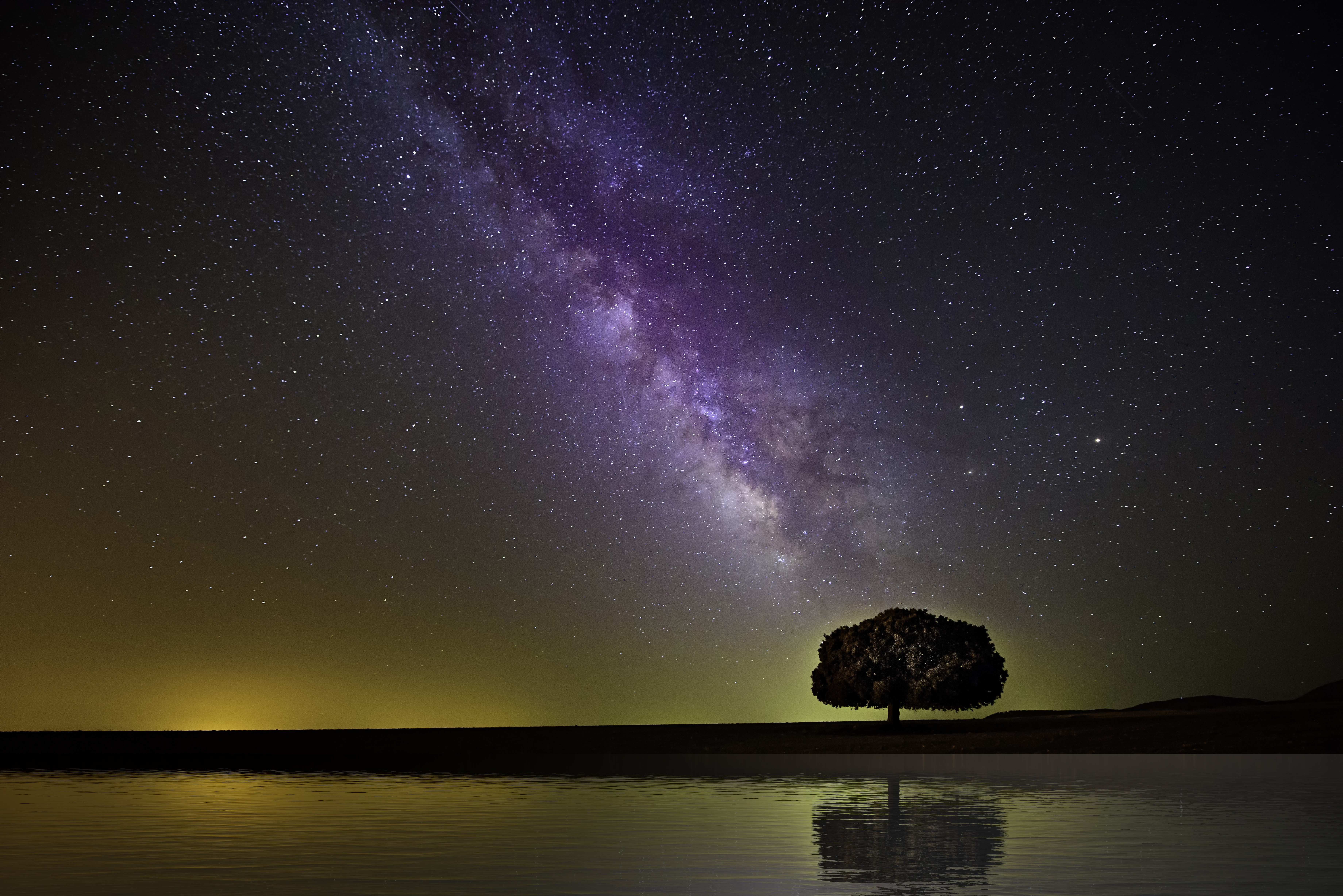 110973 скачать картинку звездное небо, млечный путь, природа, ночь, горизонт, берег, дерево - обои и заставки бесплатно