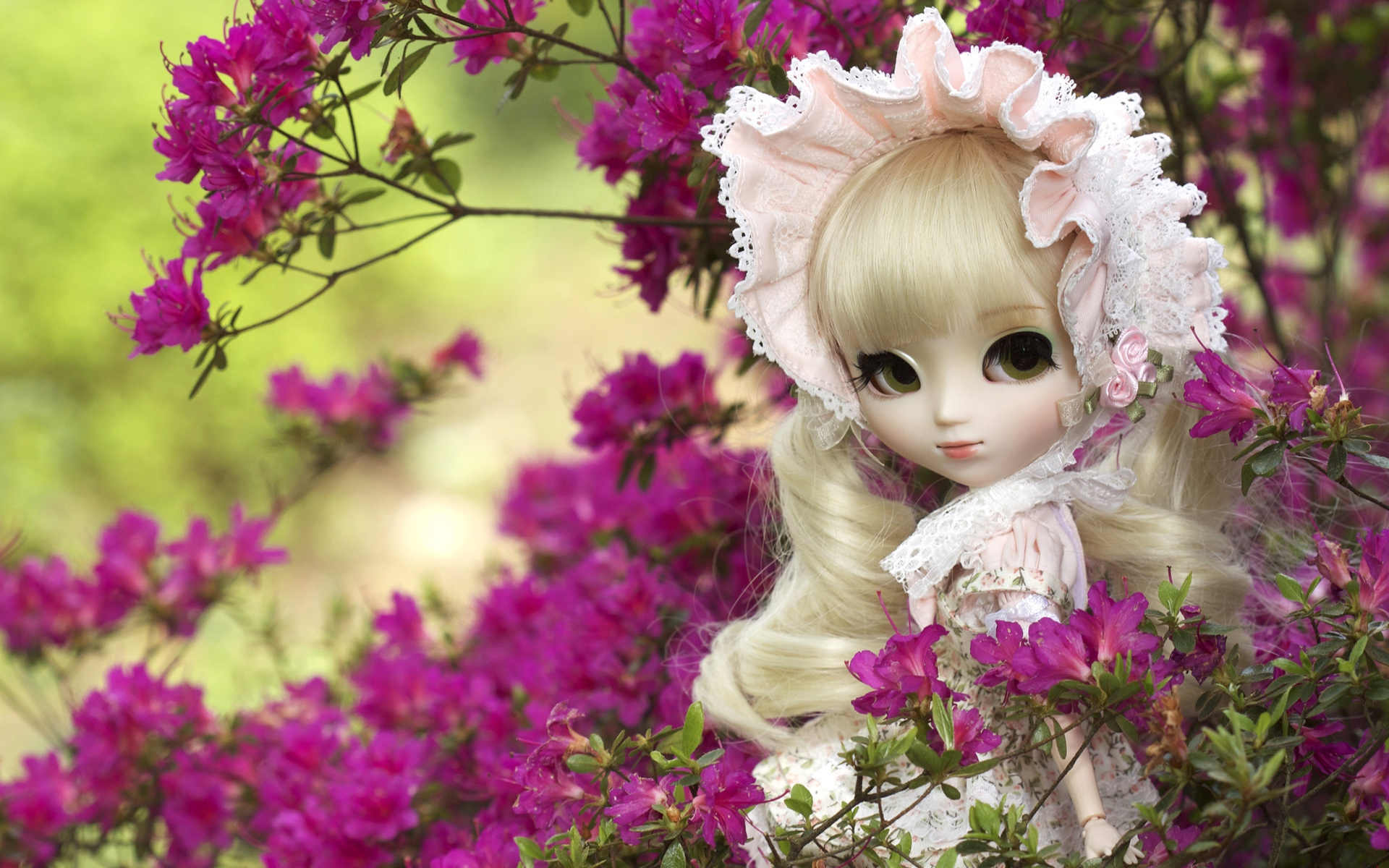 Handy-Wallpaper Blume, Puppe, Menschengemacht, Pinke Blume kostenlos herunterladen.