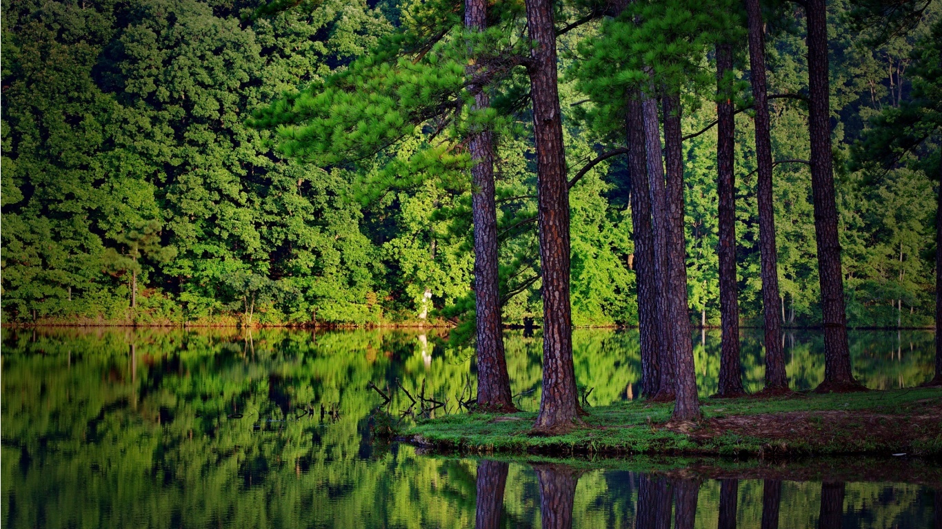 Baixar papel de parede para celular de Lago, Terra/natureza gratuito.