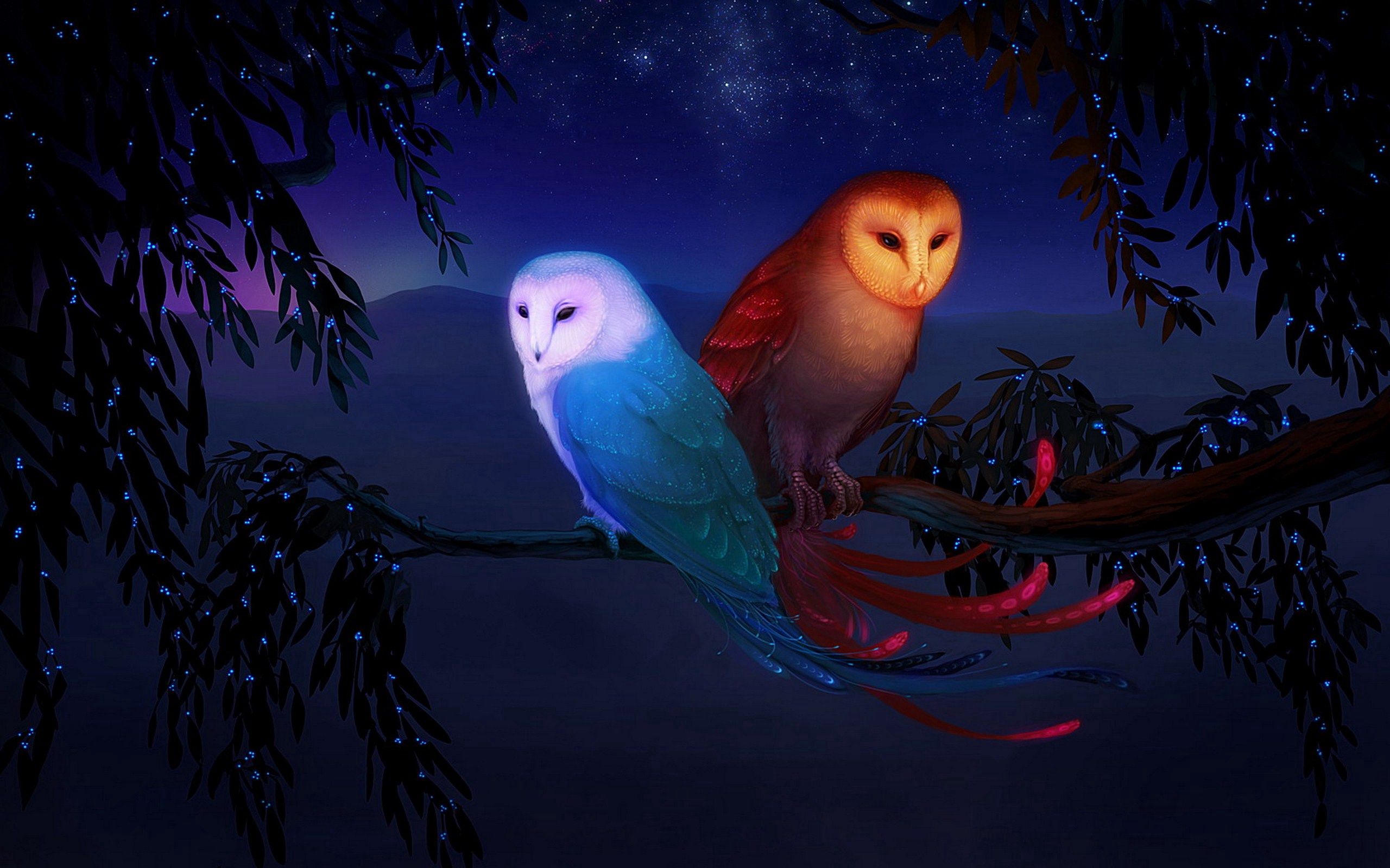 Free download wallpaper Branch, Birds, Night, Owl, Art on your PC desktop