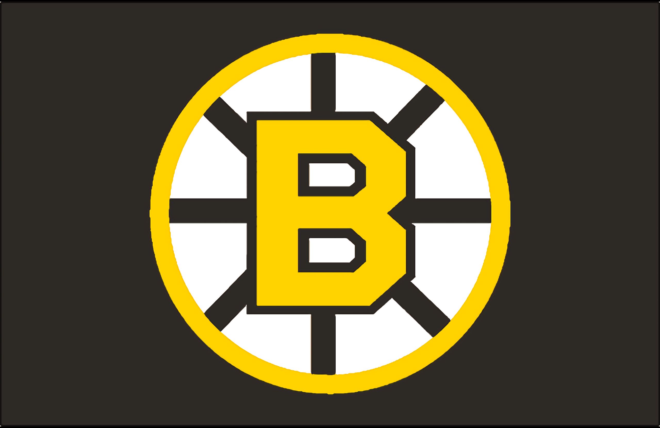 418921 Hintergrundbild herunterladen sport, boston bruins, eishockey - Bildschirmschoner und Bilder kostenlos