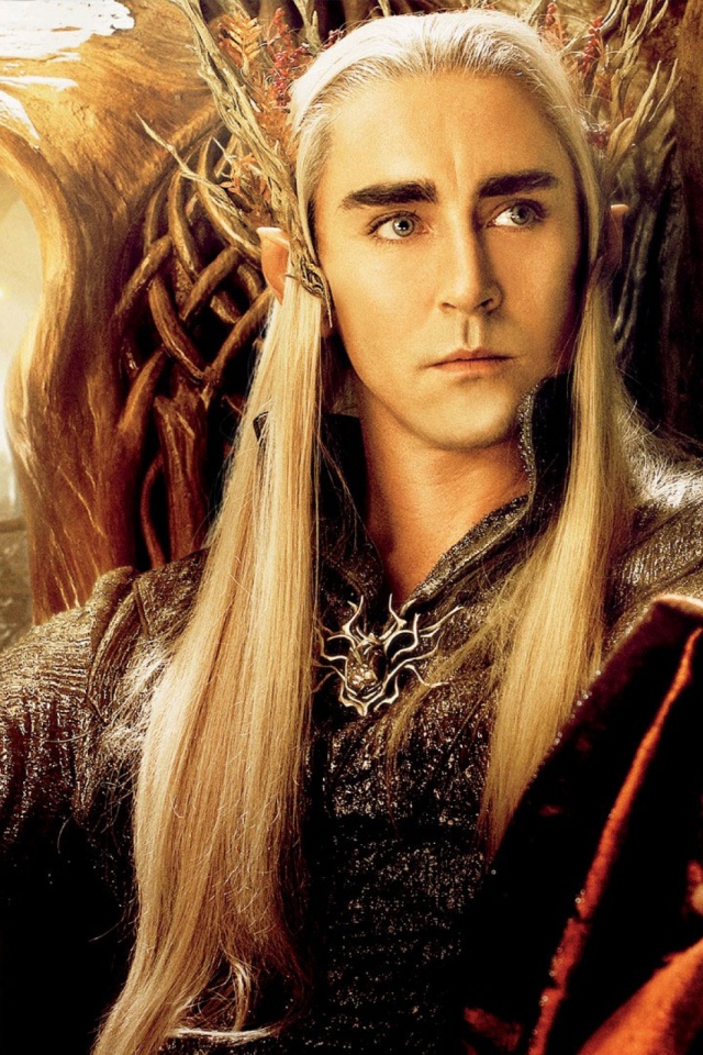 Download mobile wallpaper Lord Of The Rings, Blonde, Elf, Movie, The Lord Of The Rings, Long Hair for free.