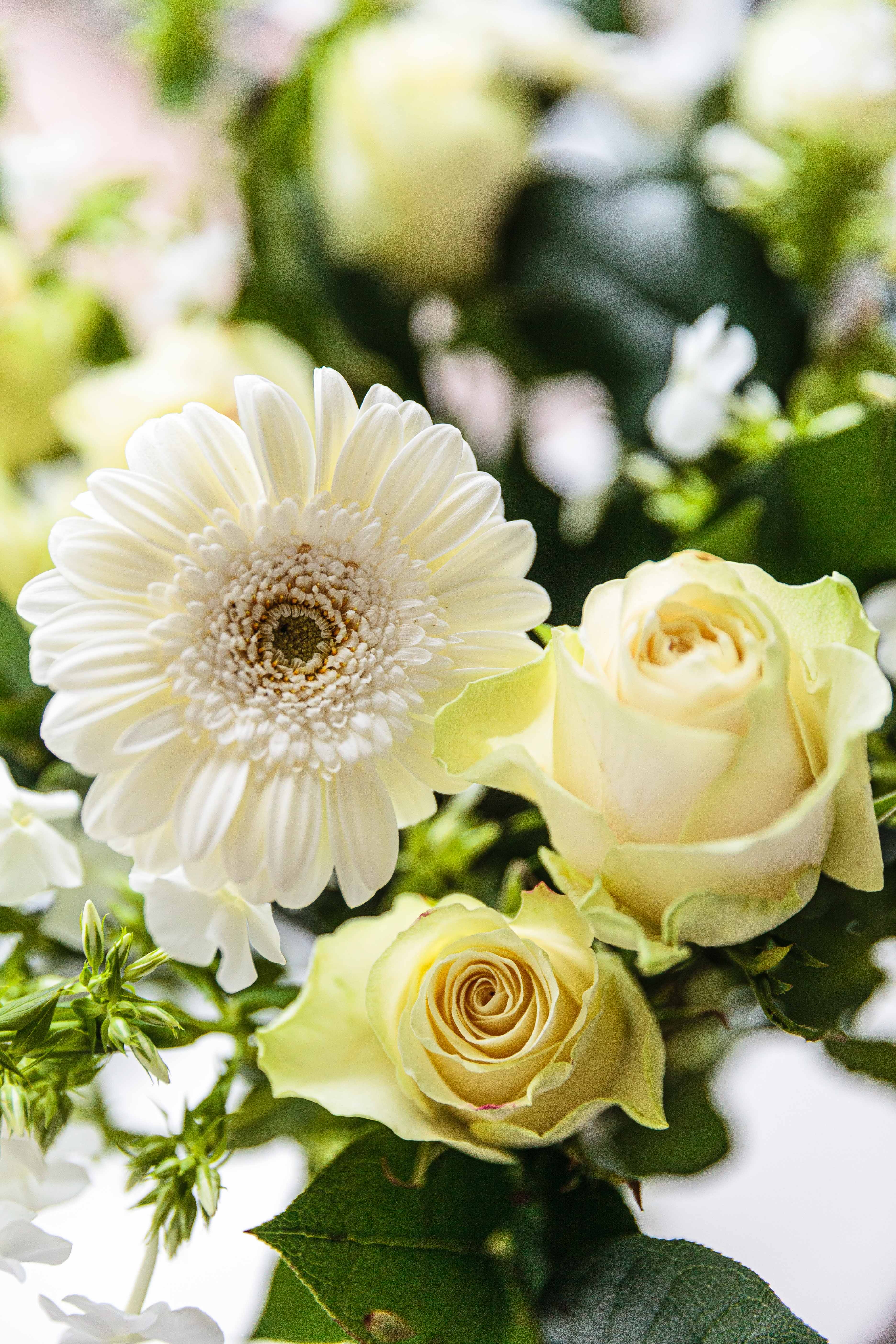 Laden Sie das Blühenden, Strauß, Bouquet, Blumen, Blühen, Pflanzen-Bild kostenlos auf Ihren PC-Desktop herunter