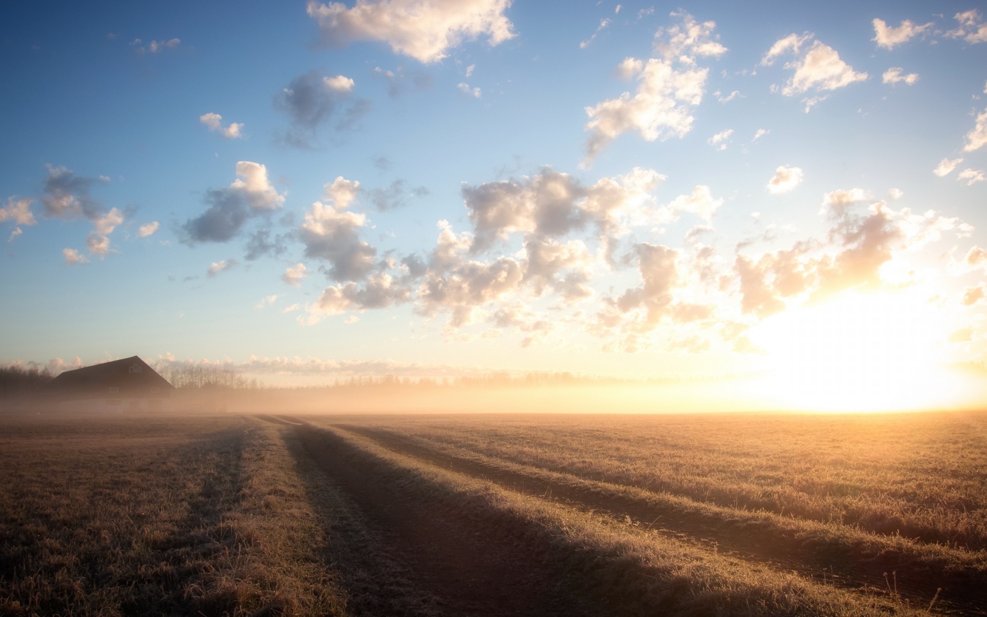 Free download wallpaper Earth, Field on your PC desktop