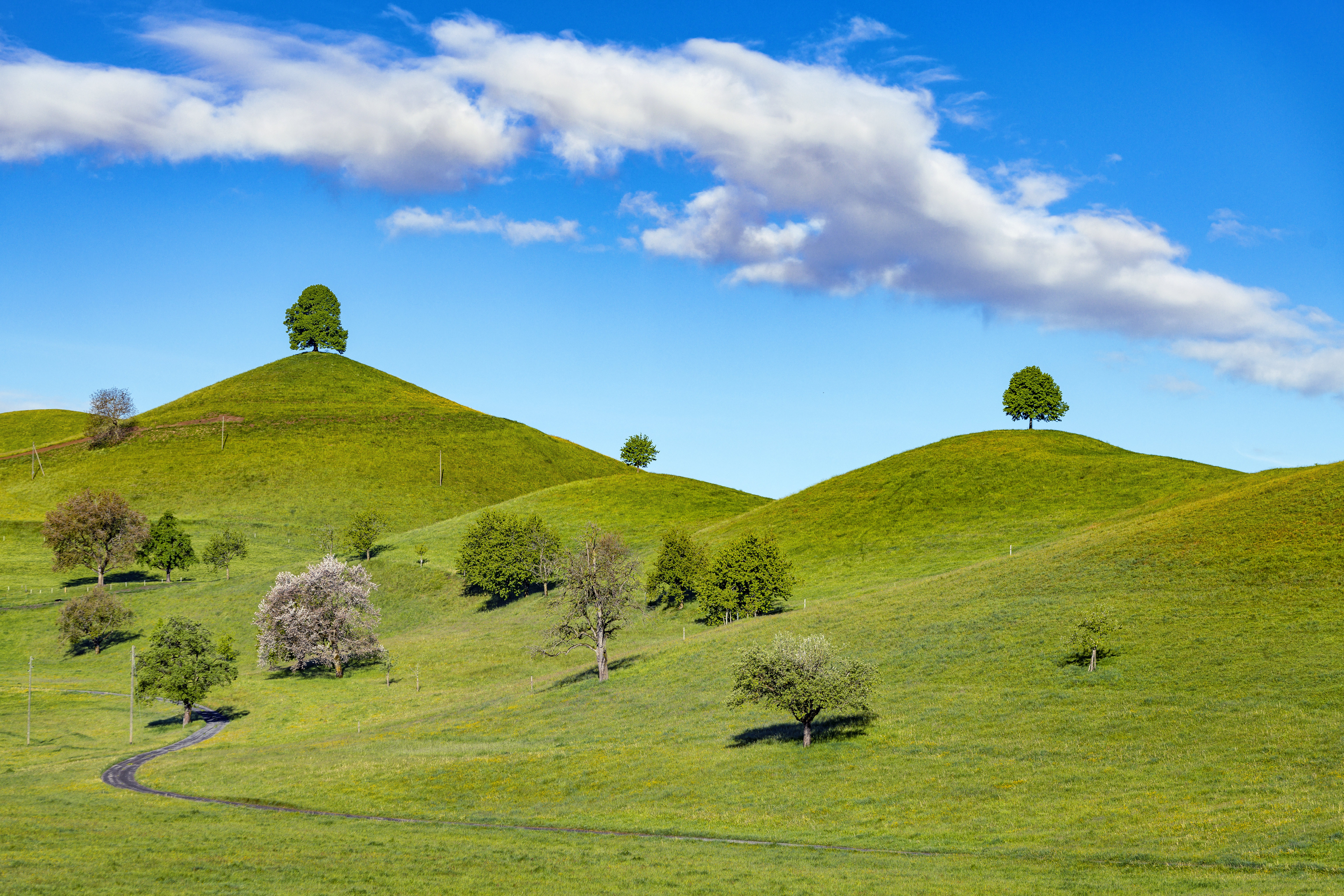 Free download wallpaper Nature, Trees, Grass, Sky, Path, Hill on your PC desktop