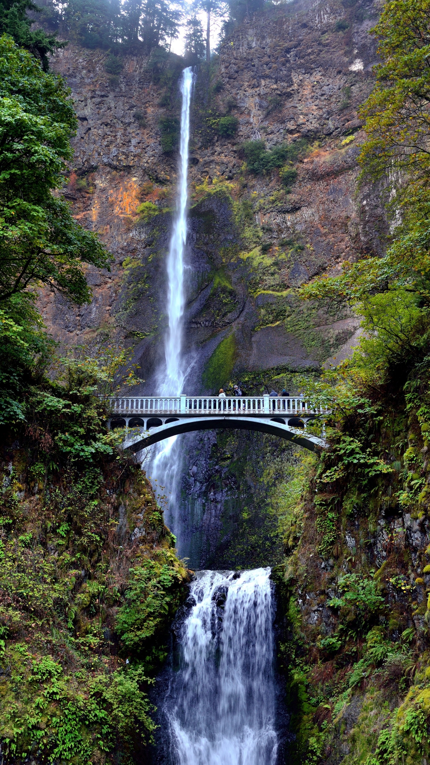 Download mobile wallpaper Waterfalls, Waterfall, Tree, Earth, Bridge for free.