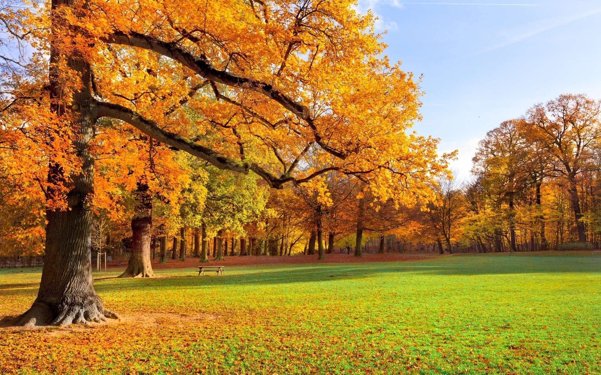 Free download wallpaper Fall, Earth on your PC desktop