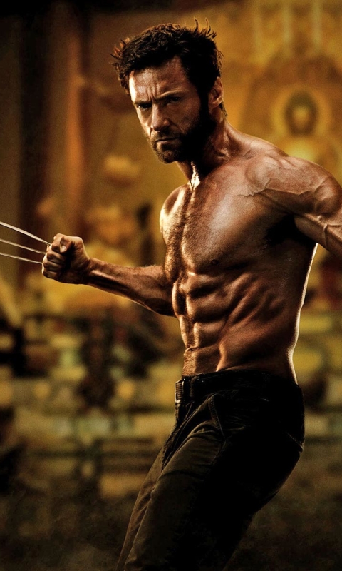 Download mobile wallpaper X Men, Hugh Jackman, Wolverine, Movie, The Wolverine for free.