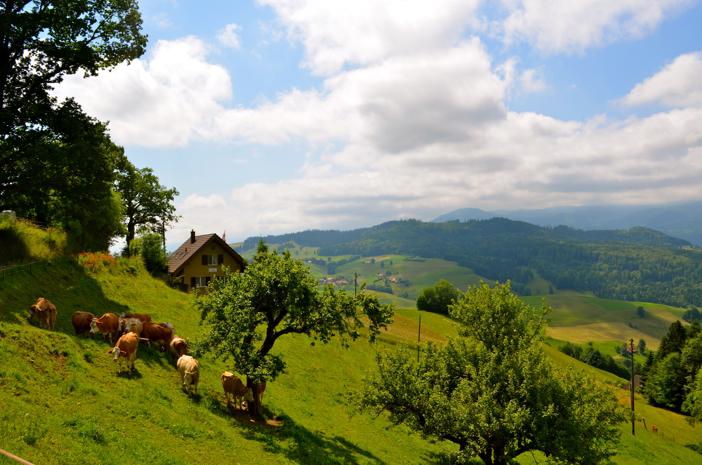 Handy-Wallpaper Landschaft, Fotografie kostenlos herunterladen.