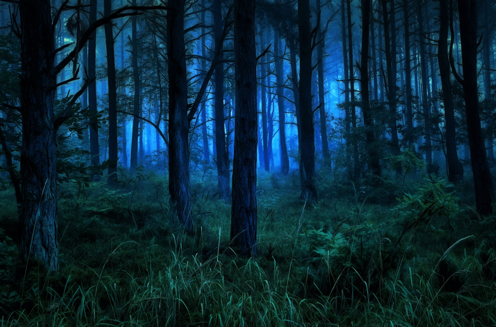 Download mobile wallpaper Night, Dark, Forest, Fog, Earth for free.