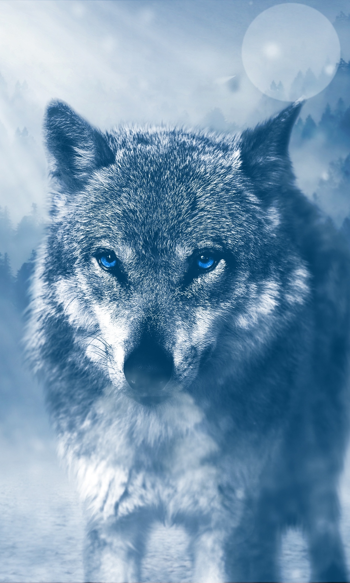 Download mobile wallpaper Wolf, Animal, Bokeh, Blue Eyes, Wolves for free.