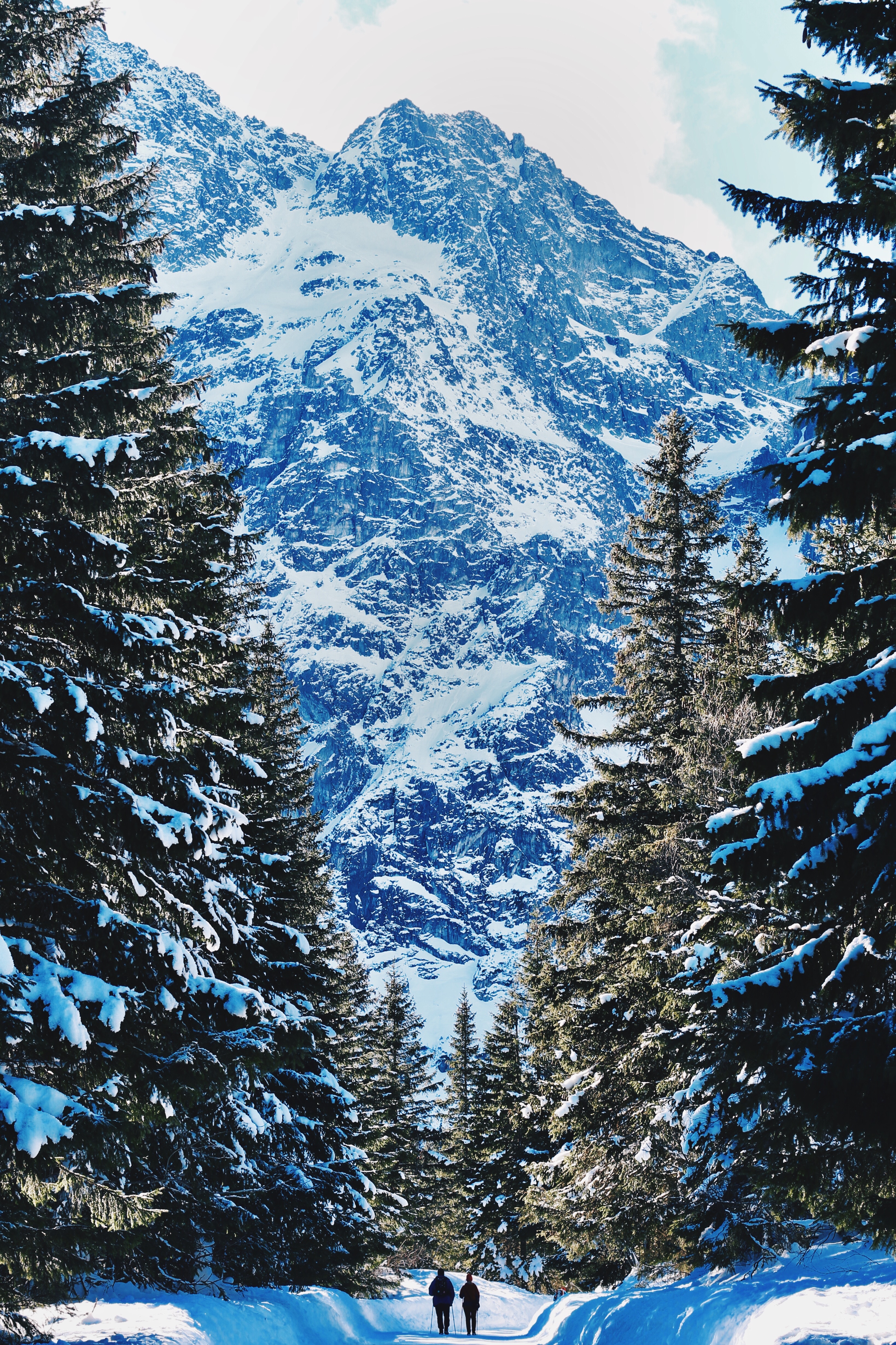 Скачать обои бесплатно Снег, Природа, Лес, Горы, Зима, Люди картинка на рабочий стол ПК