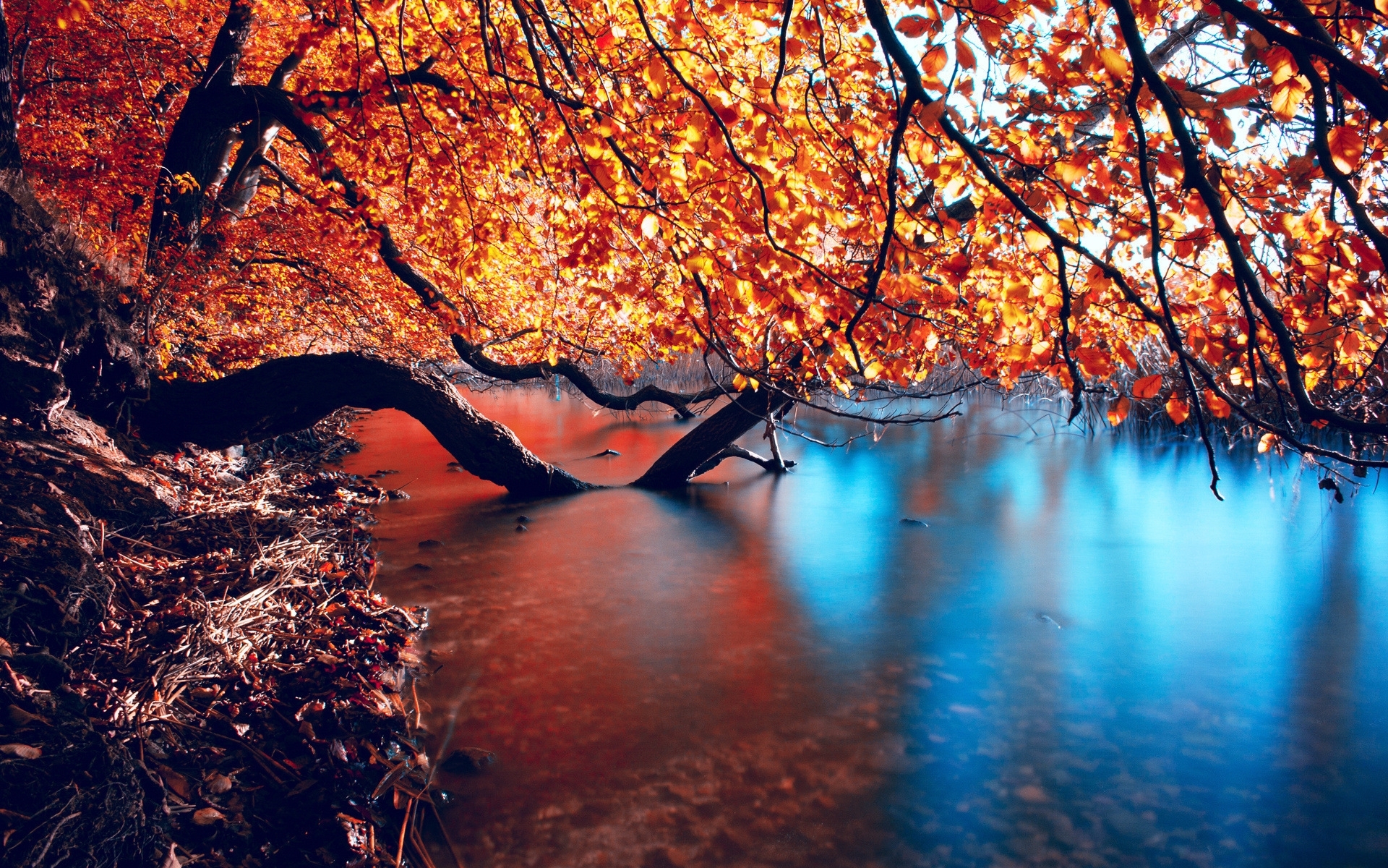 Скачать обои бесплатно Река, Деревья, Пейзаж, Осень картинка на рабочий стол ПК