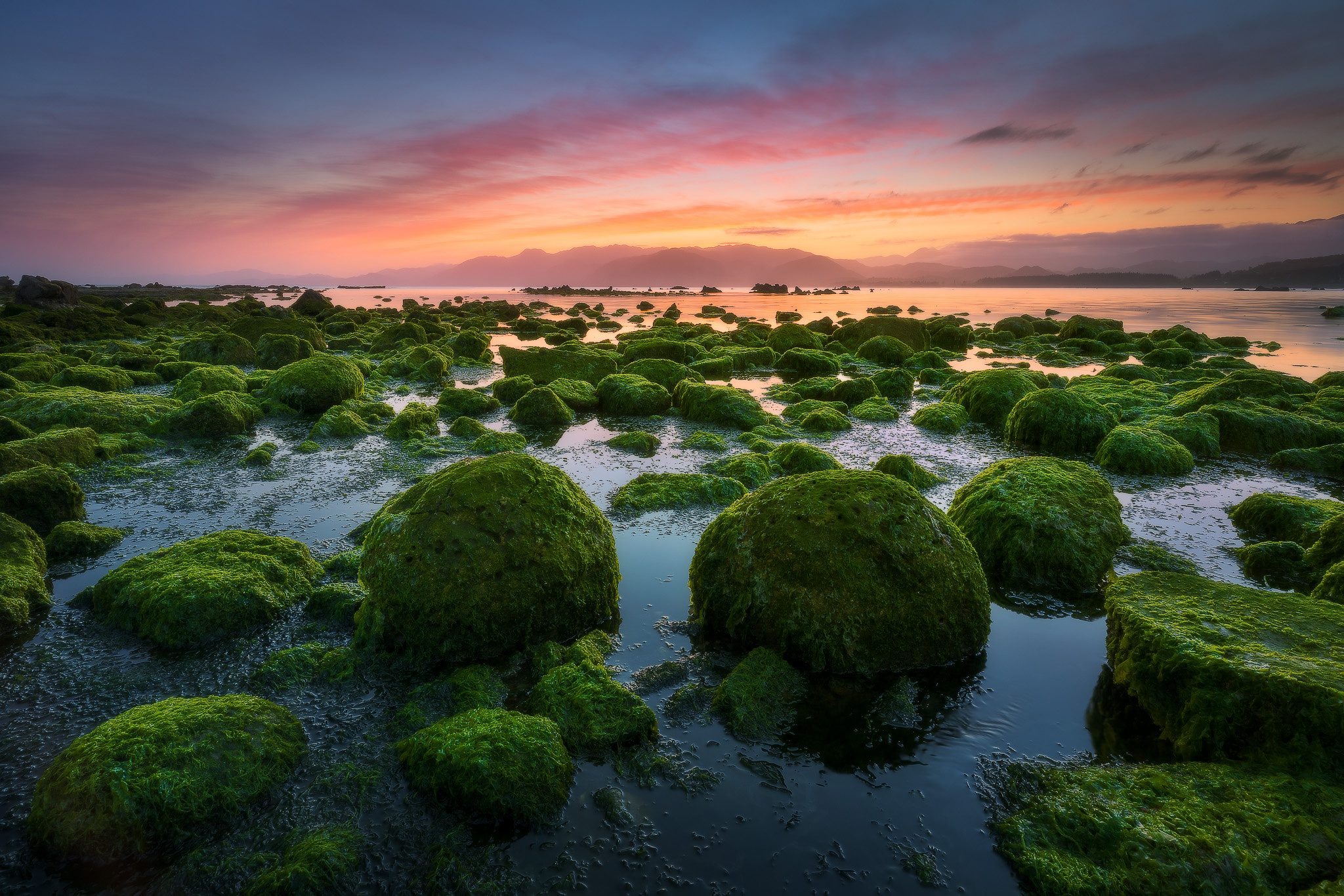 Handy-Wallpaper Natur, Moos, Erde/natur, Meereslandschaft kostenlos herunterladen.