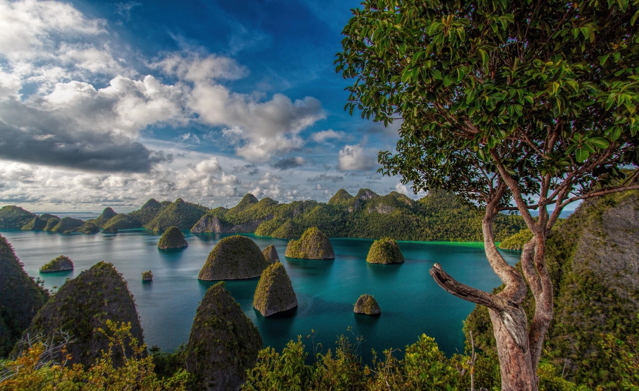 Baixe gratuitamente a imagem Mar, Árvore, Oceano, Ilha, Indonésia, Terra/natureza, Raja Ampat na área de trabalho do seu PC