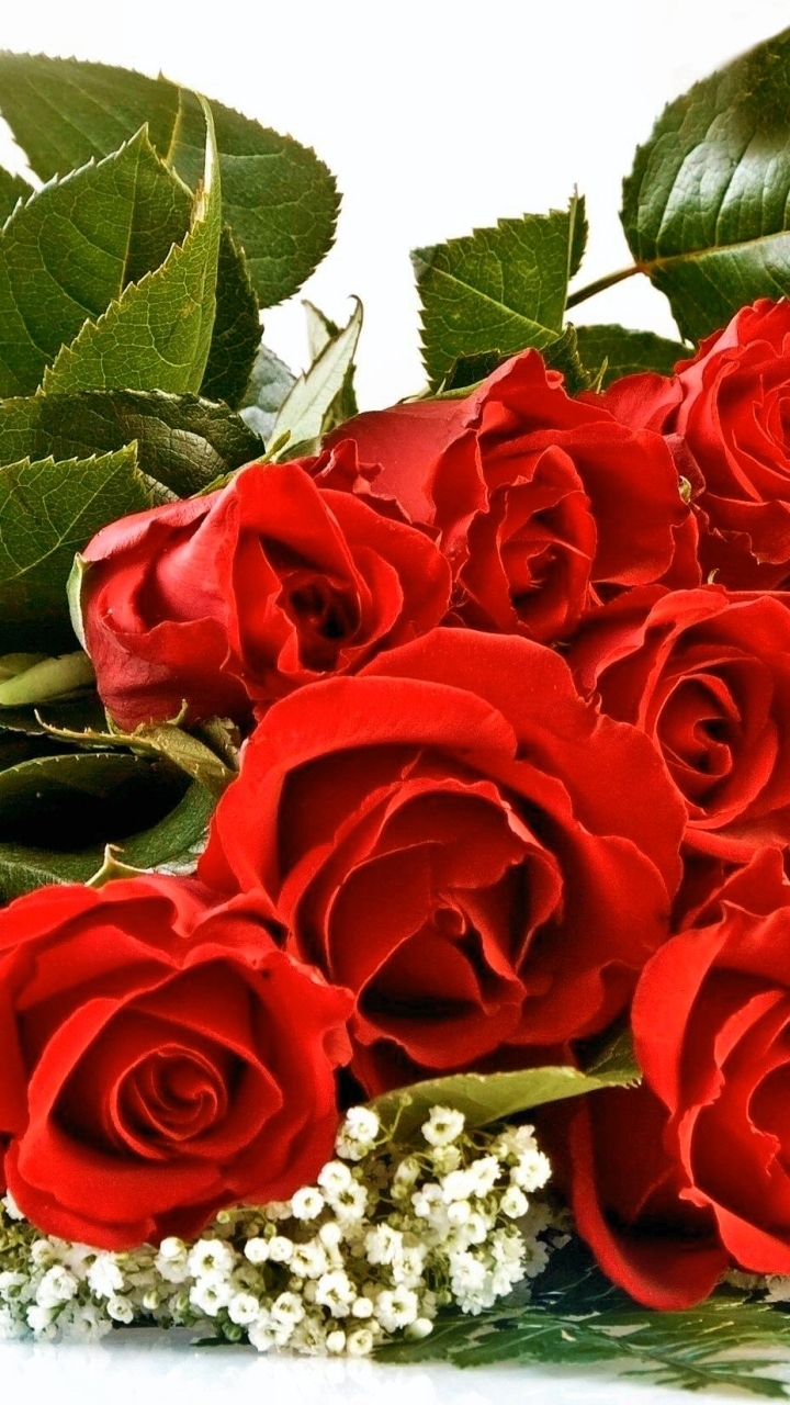 Download mobile wallpaper Valentine's Day, Flowers, Flower, Rose, Leaf, Bouquet, Earth, Red Rose, Red Flower for free.