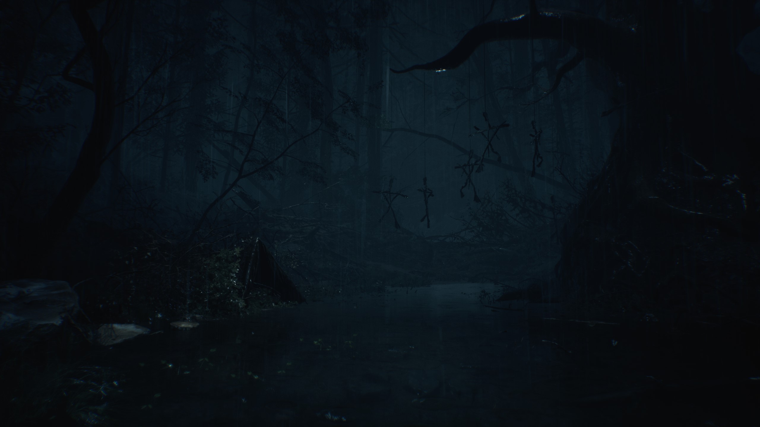 video game, blair witch (video game), forest, blair witch