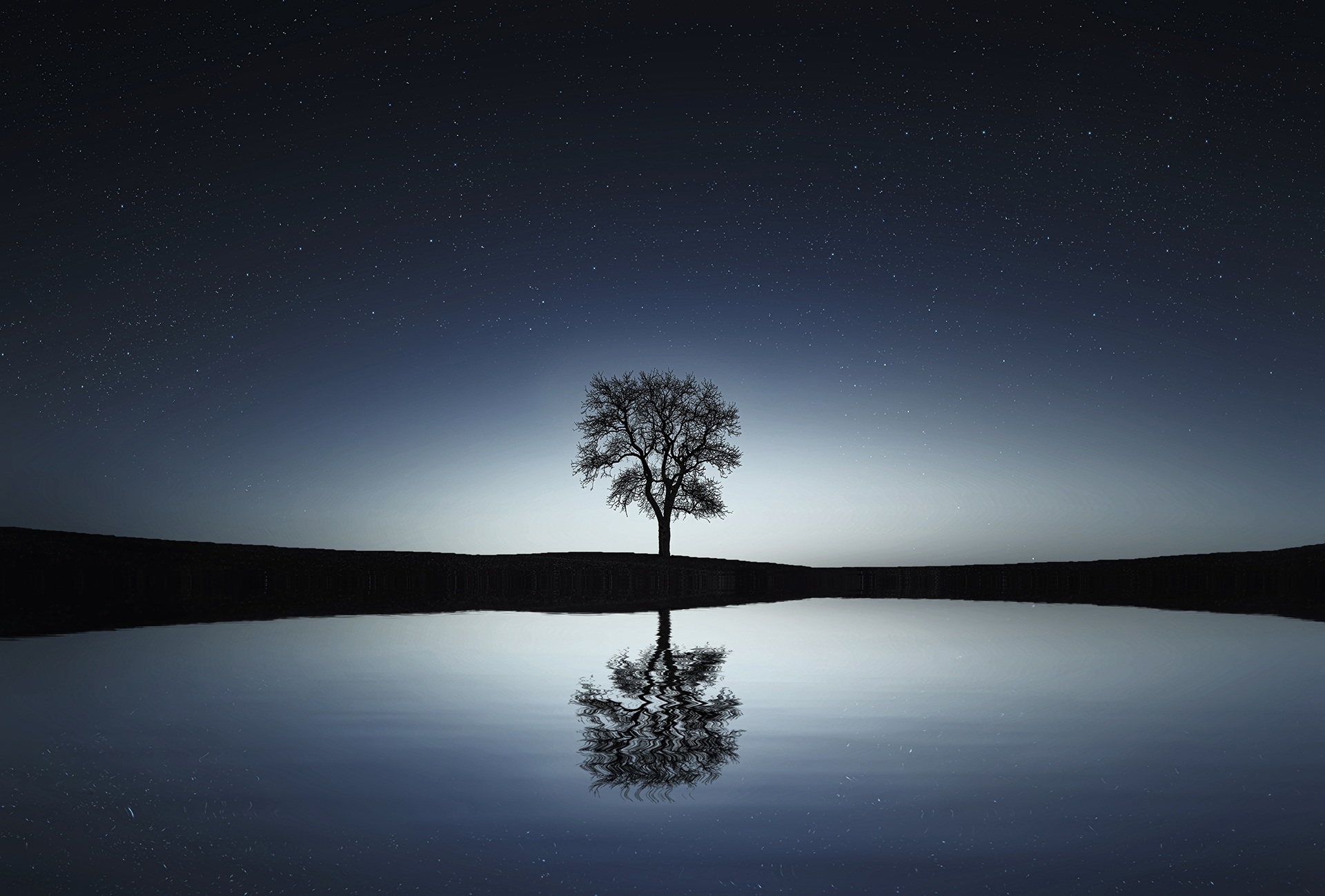 Download mobile wallpaper Nature, Trees, Night, Reflection, Tree, Starry Sky, Earth for free.
