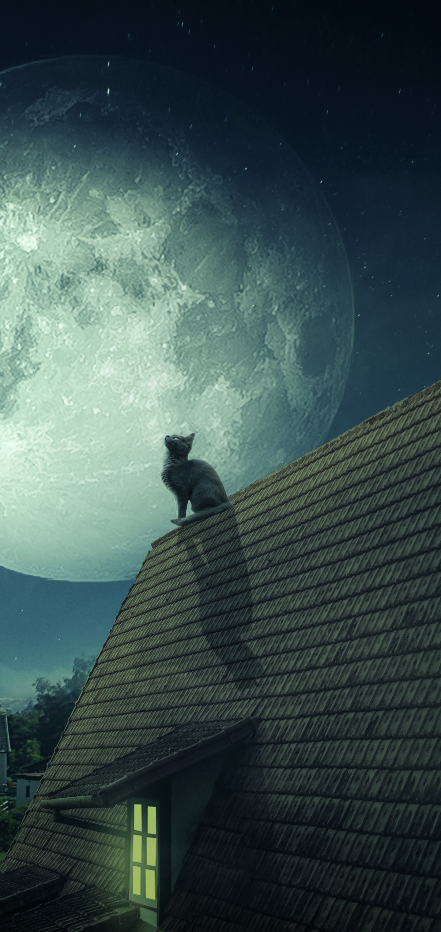 Скачать обои бесплатно Животные, Ночь, Луна, Крыша, Кошка, Кошки картинка на рабочий стол ПК