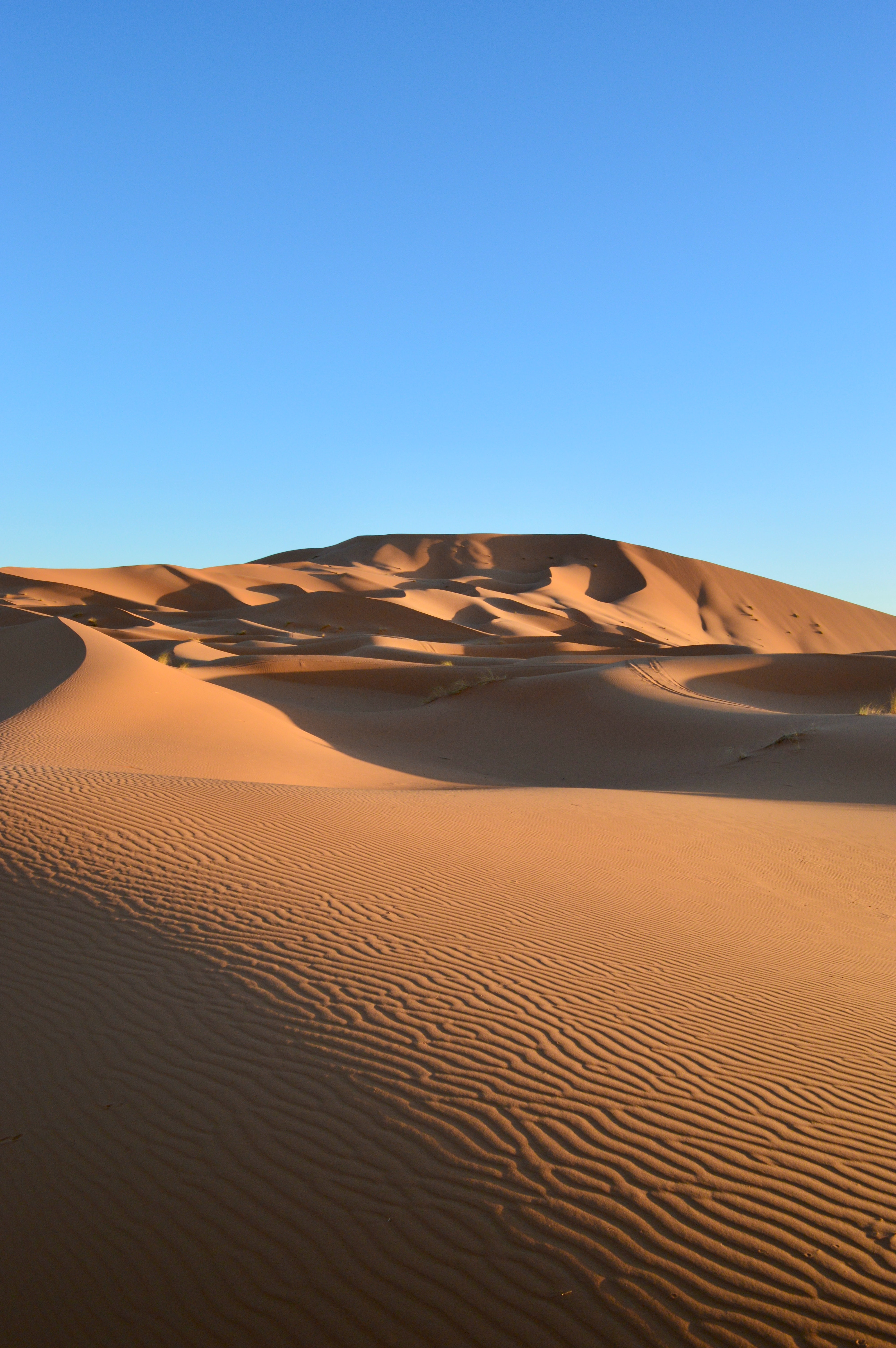83137 завантажити картинку бархани, природа, небо, пісок, пустеля, сліди, дюни - шпалери і заставки безкоштовно