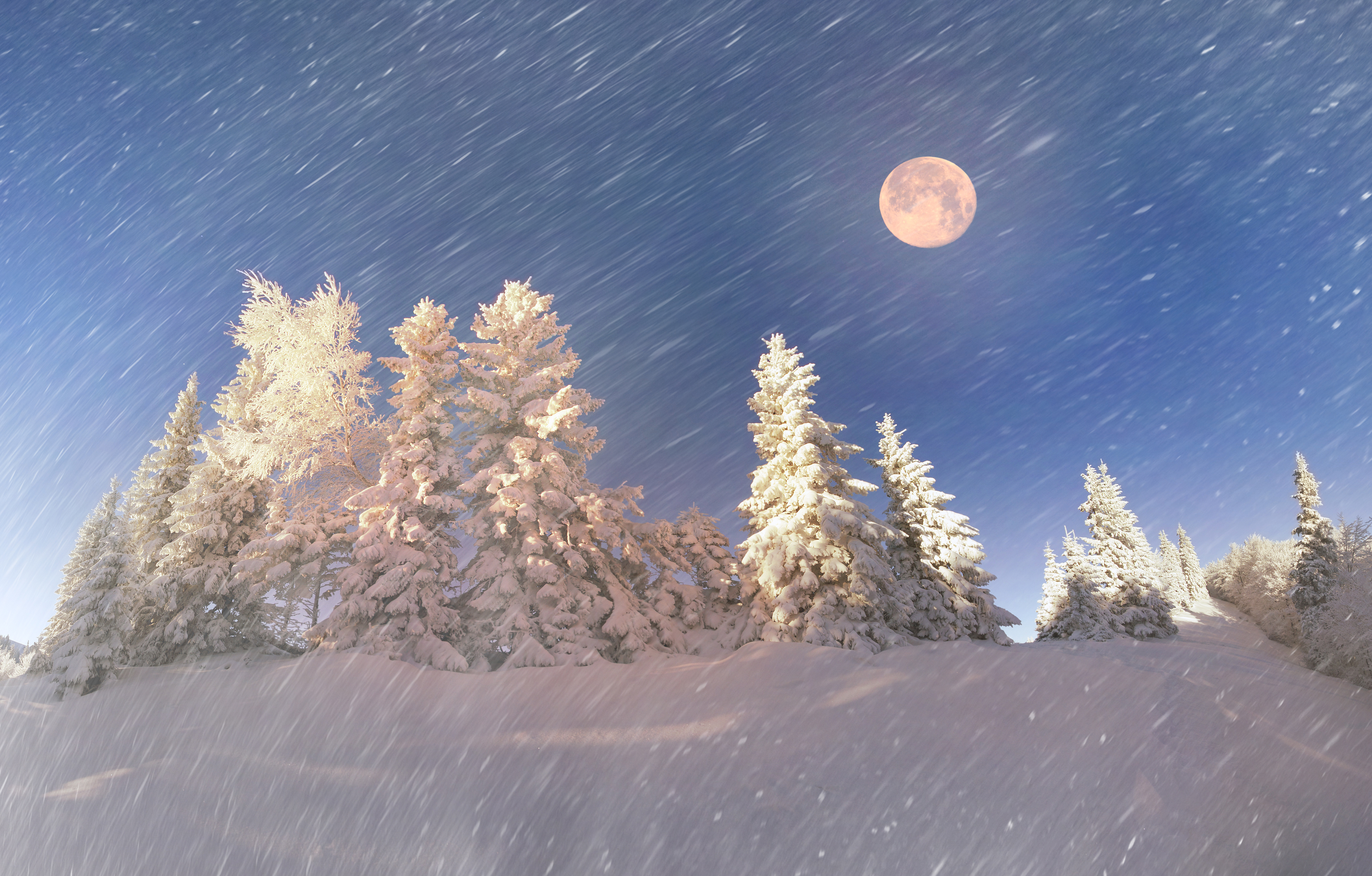Download mobile wallpaper Winter, Moon, Snow, Forest, Tree, Earth, Snowfall for free.