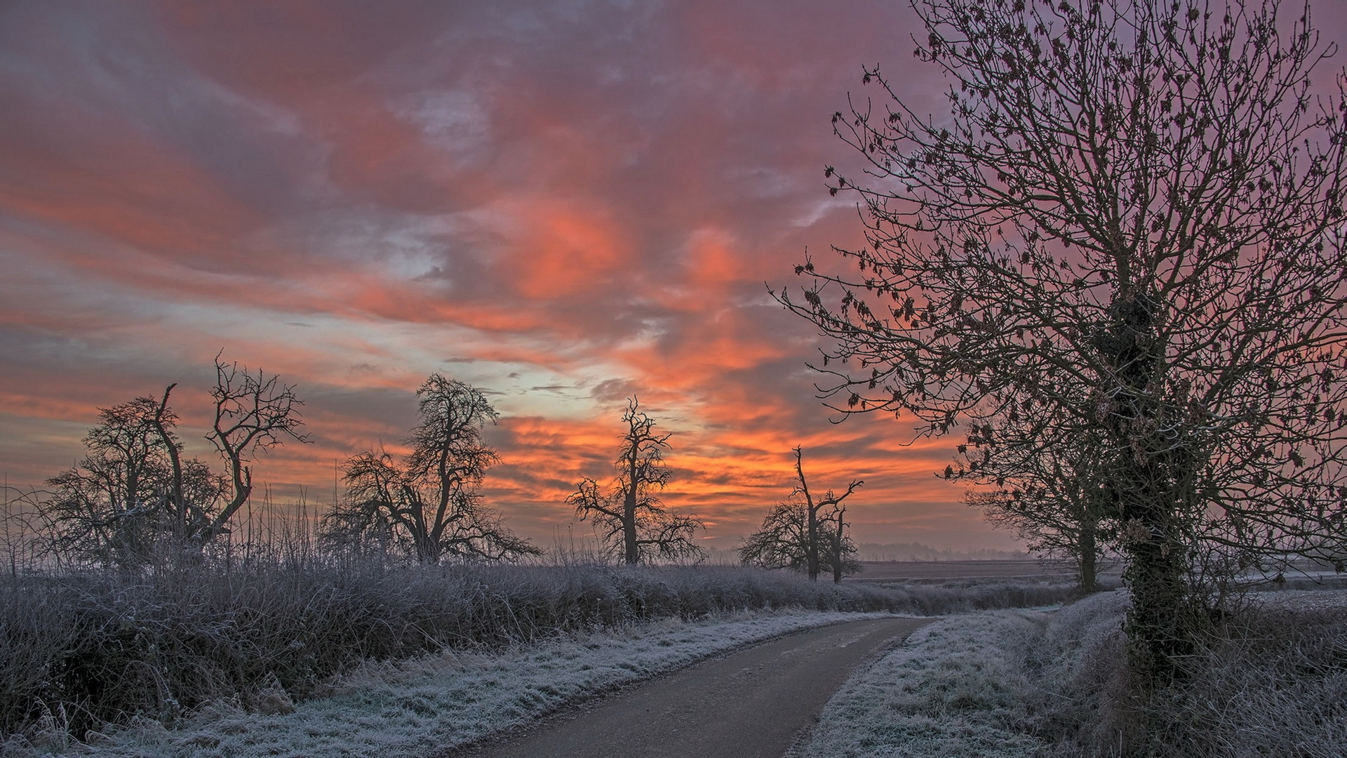 Handy-Wallpaper Winter, Schnee, Straße, Baum, Sonnenuntergang, Erde/natur kostenlos herunterladen.