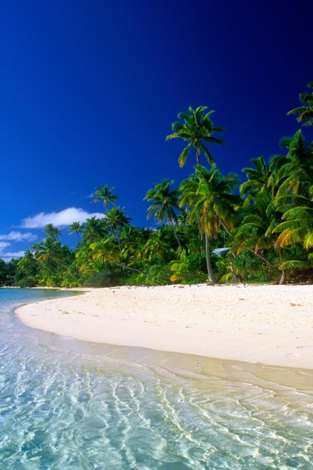 Download mobile wallpaper Water, Sky, Beach, Sand, Tree, Earth, Tropics, Island for free.