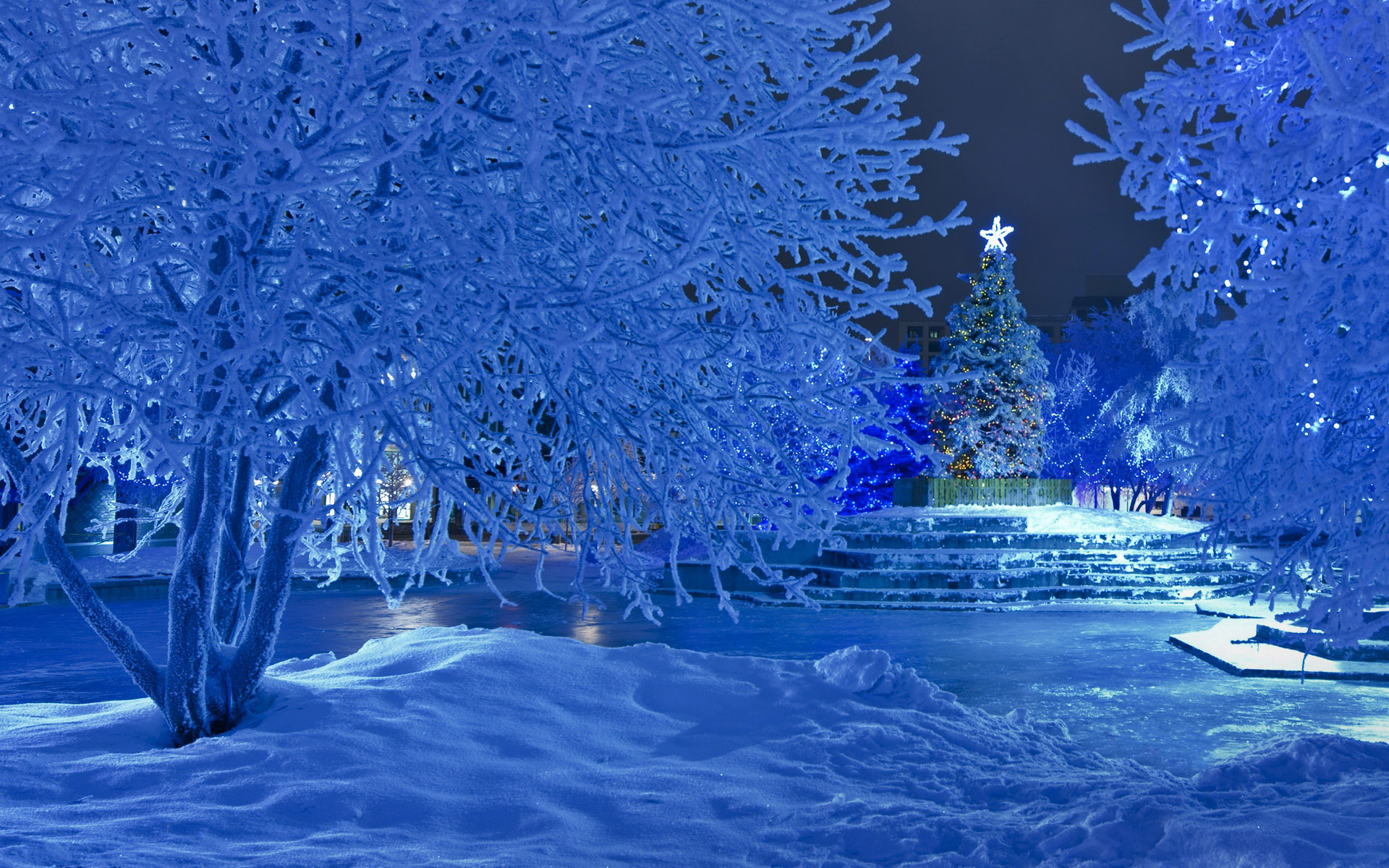 Descarga gratis la imagen Nieve, Navidad, Luz, Parque, Árbol, Día Festivo, Árbol De Navidad en el escritorio de tu PC