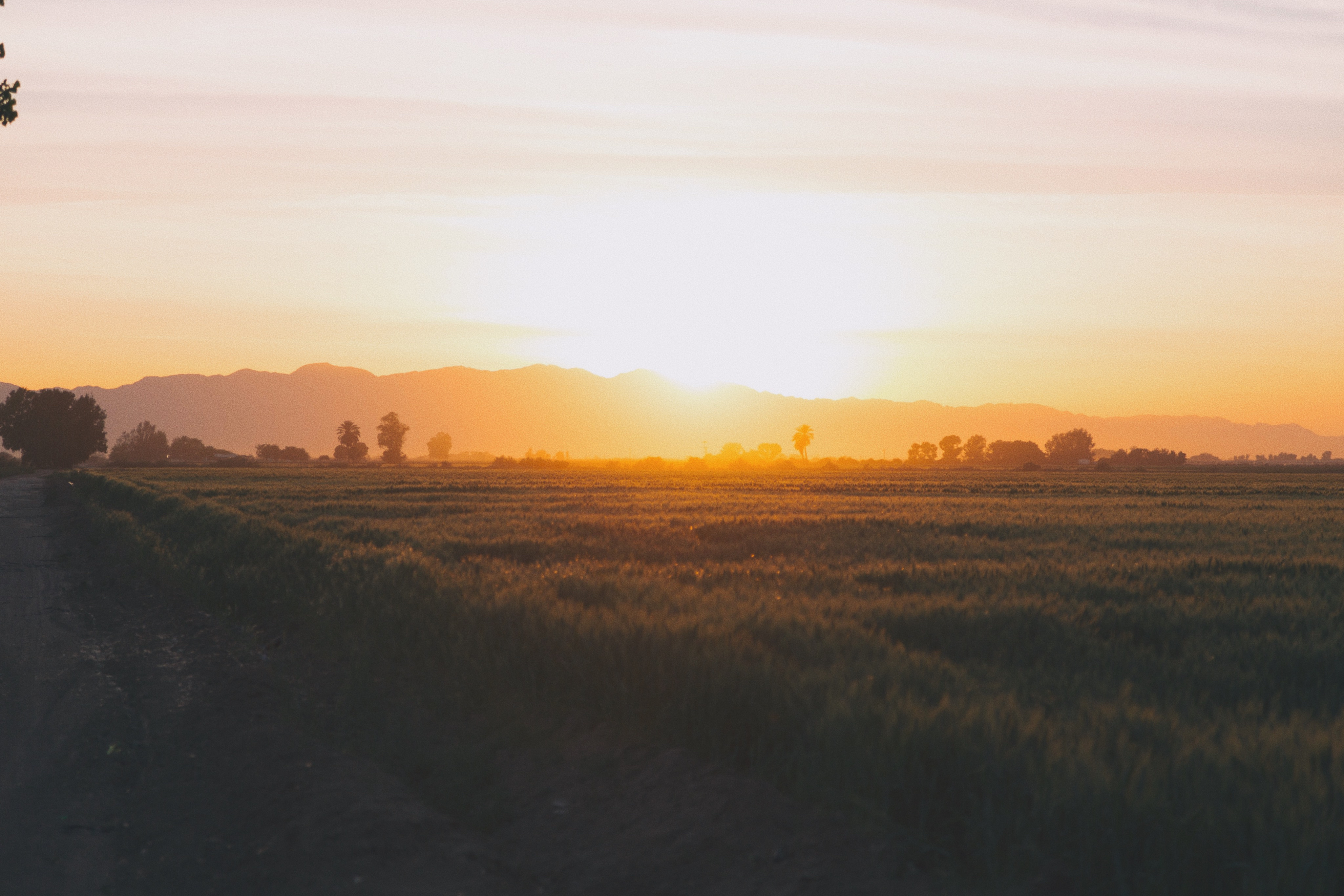 Handy-Wallpaper Natur, Sunset, Grass, Feld kostenlos herunterladen.