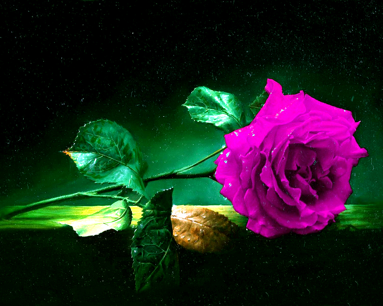 Download mobile wallpaper Flower, Rose, Artistic for free.