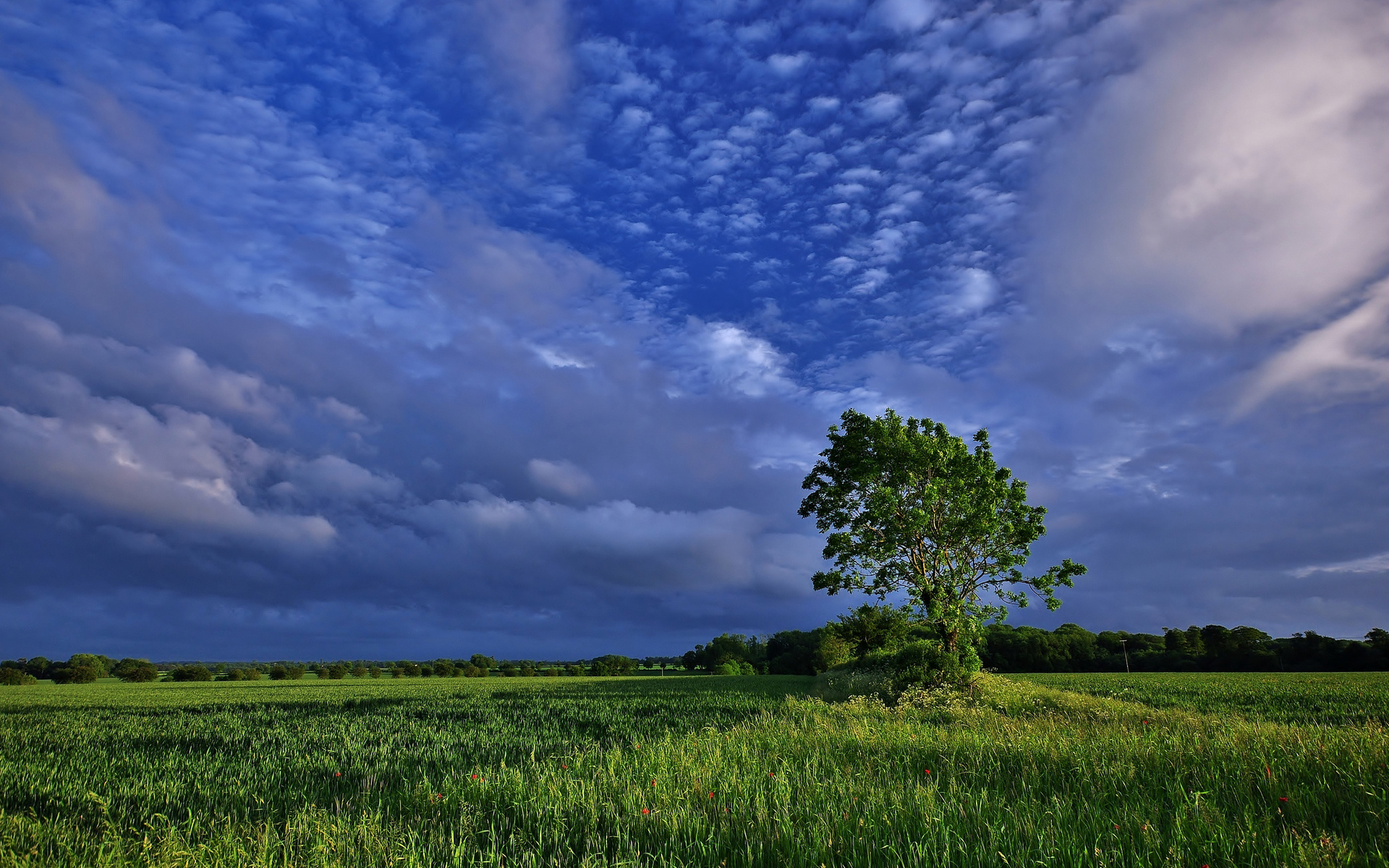 Descarga gratis la imagen Paisaje, Tierra/naturaleza en el escritorio de tu PC