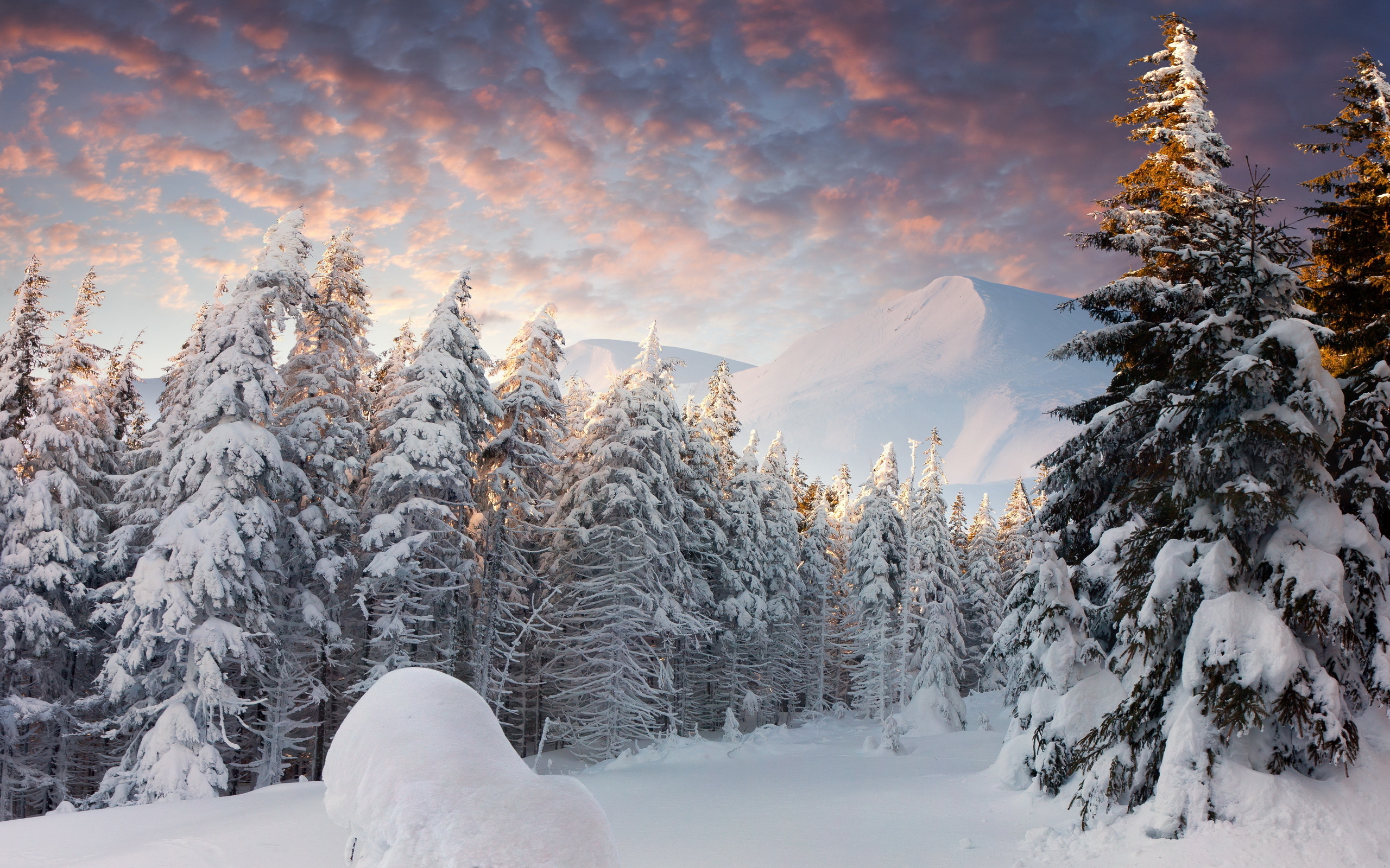Скачать картинку Снег, Деревья, Пейзаж, Горы, Зима, Елки в телефон бесплатно.