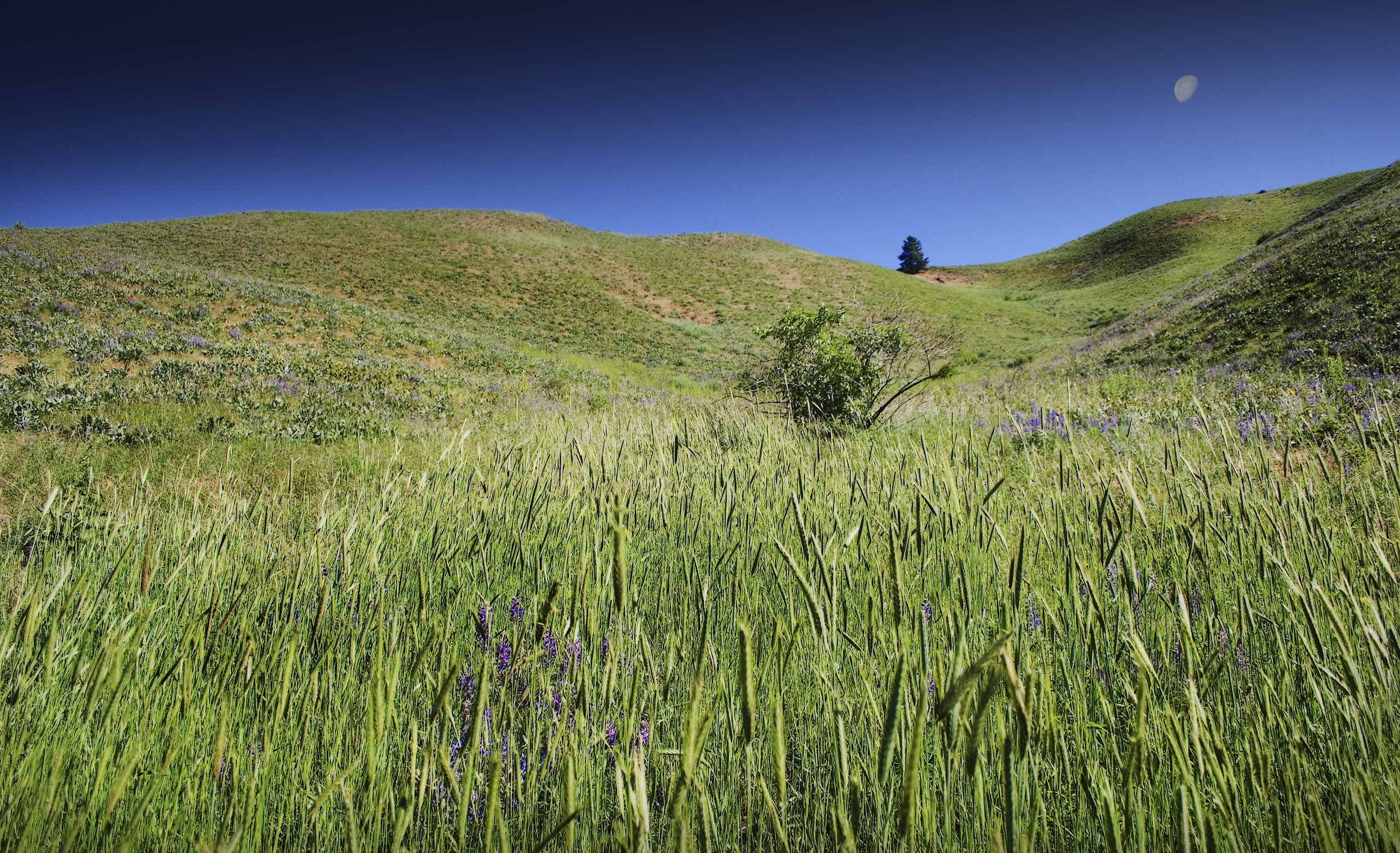 Descarga gratuita de fondo de pantalla para móvil de Paisaje, Tierra/naturaleza.