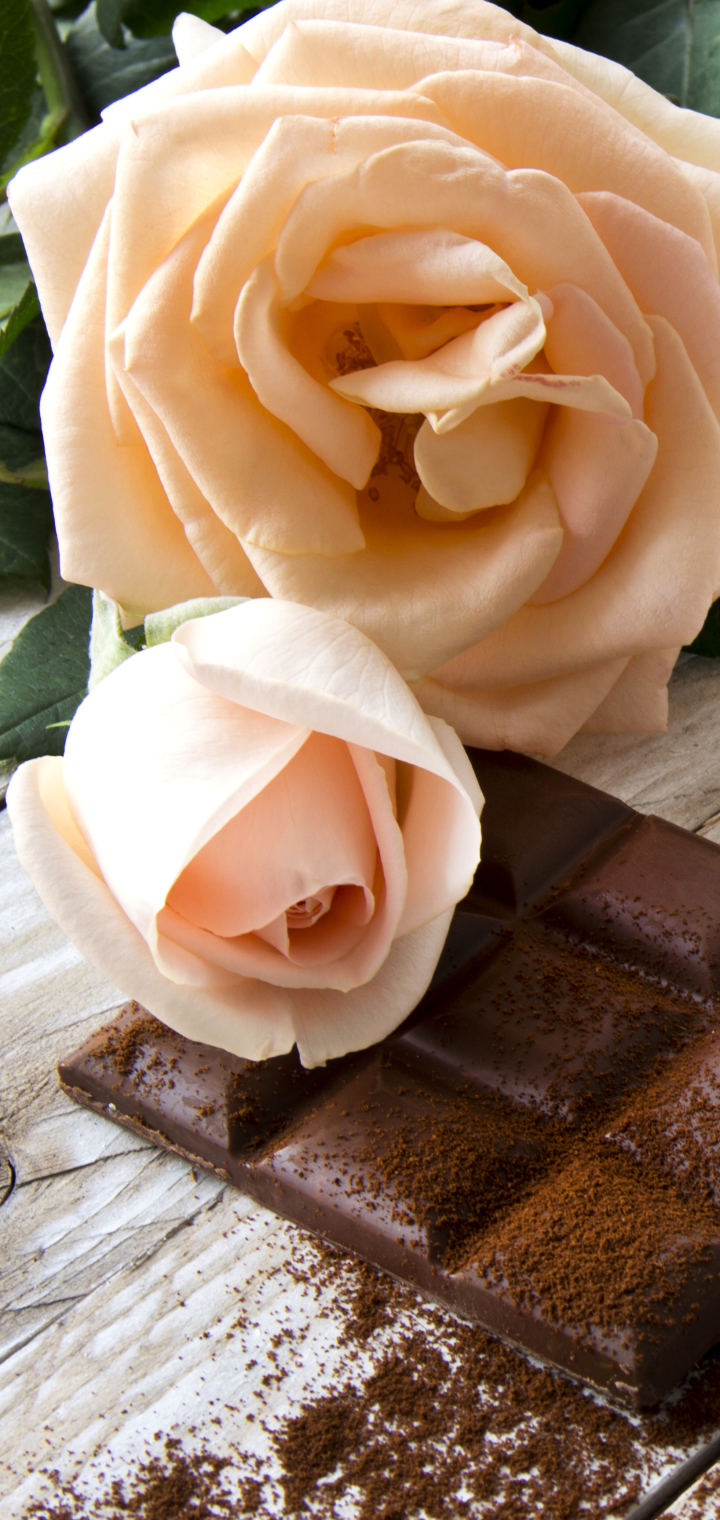 Descarga gratuita de fondo de pantalla para móvil de Rosa, Chocolate, Flor Rosa, Fotografía, Bodegón.