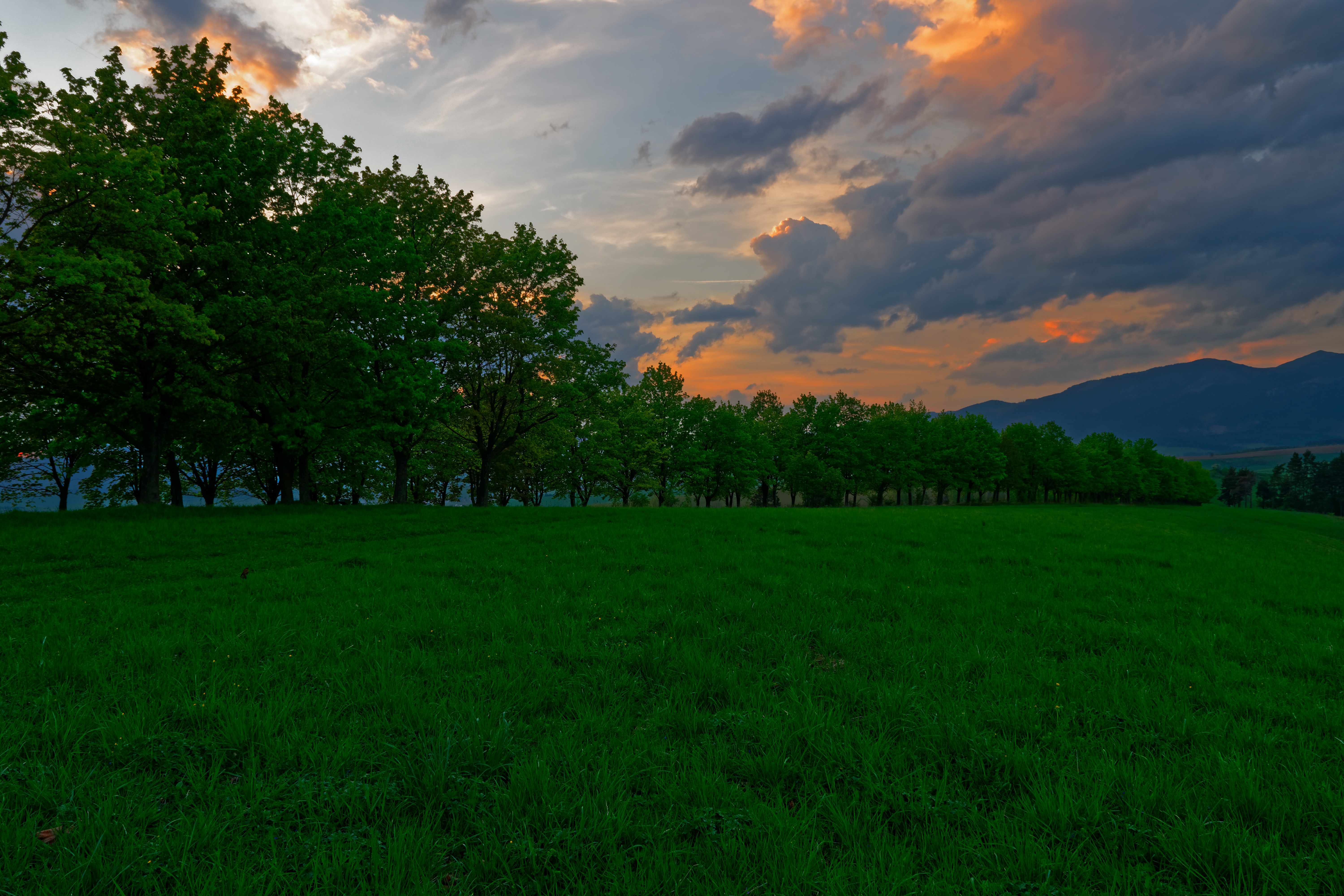Free download wallpaper Grass, Nature, Meadow, Trees, Sunset on your PC desktop