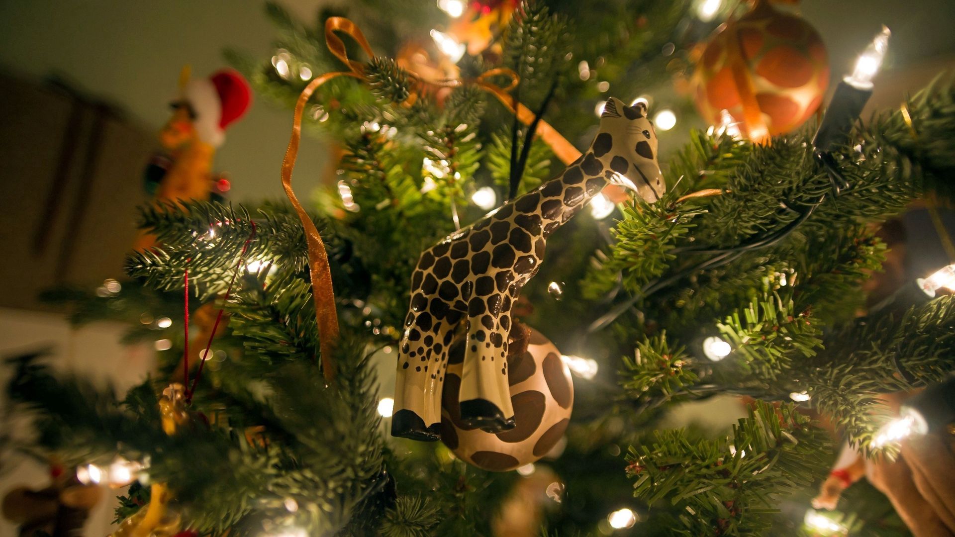 121641 descargar imagen vacaciones, año nuevo, árbol de navidad, jirafa, presenta, regalos: fondos de pantalla y protectores de pantalla gratis