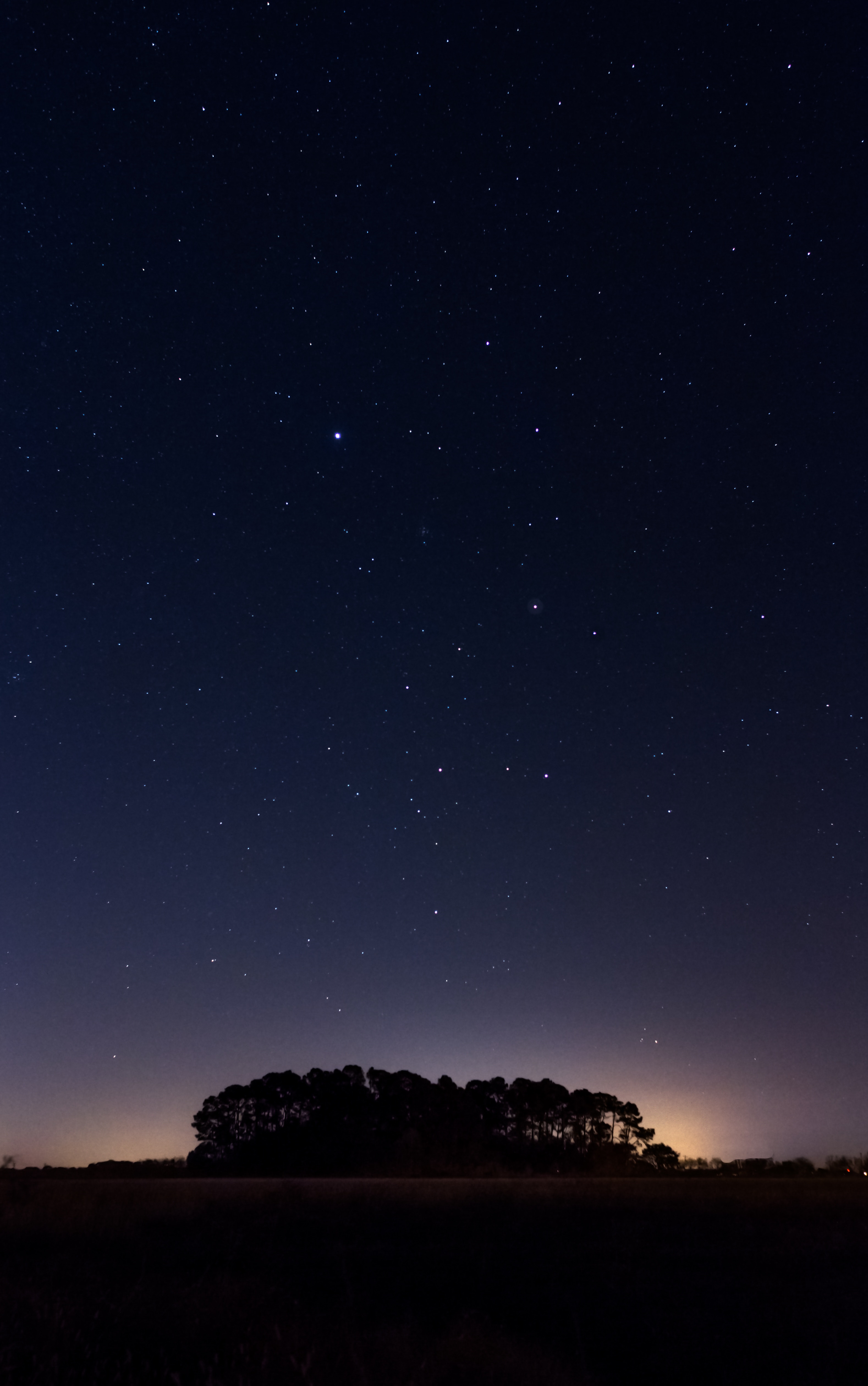 Baixar papel de parede para celular de Natureza, Árvores, Horizonte, Céu Estrelado, Noite gratuito.