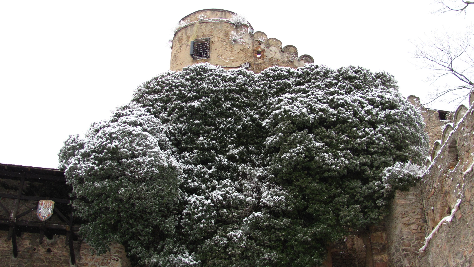 329970 Hintergrundbild herunterladen menschengemacht, schloss chojnik, schlösser - Bildschirmschoner und Bilder kostenlos