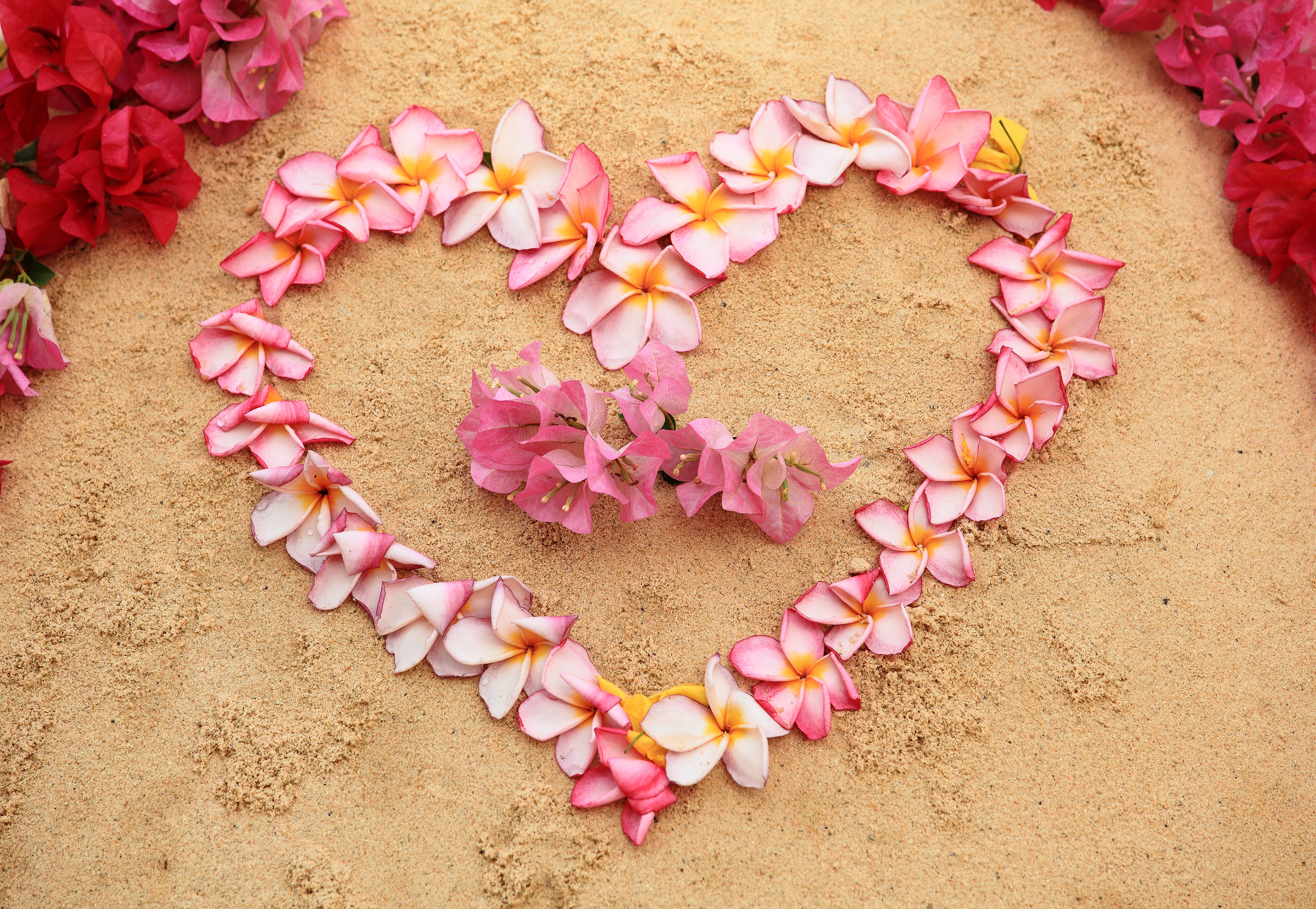 Download mobile wallpaper Sand, Love, Petal, Photography, Frangipani, Heart Shaped for free.